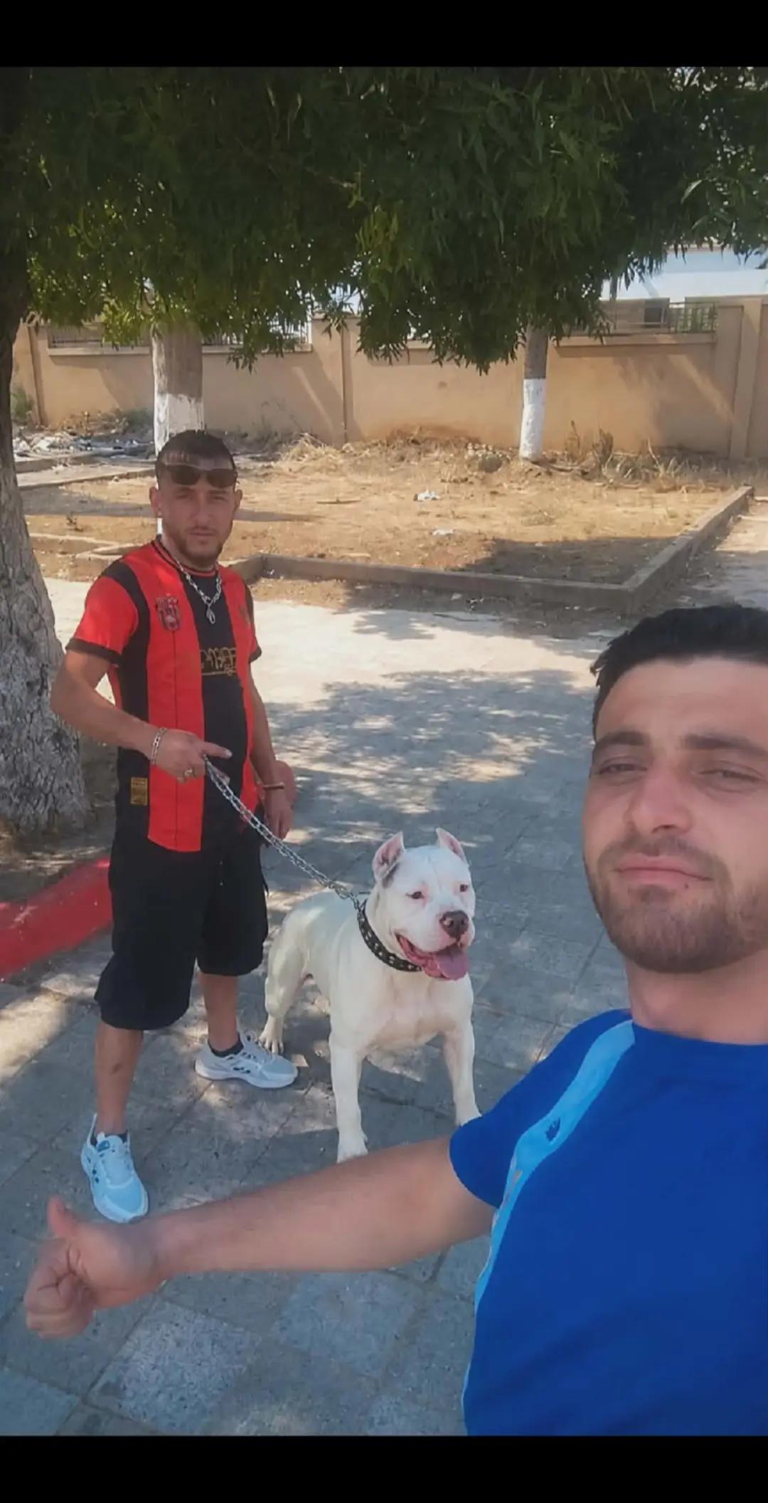 @hameza gh.