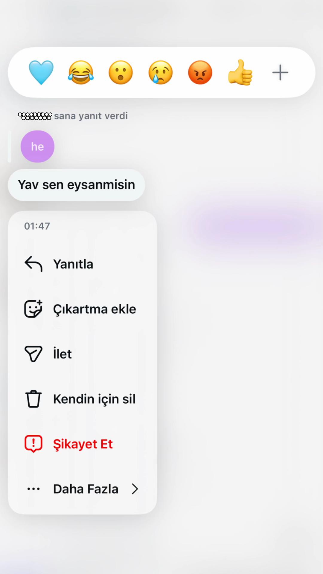 @irmiikkhelvasi