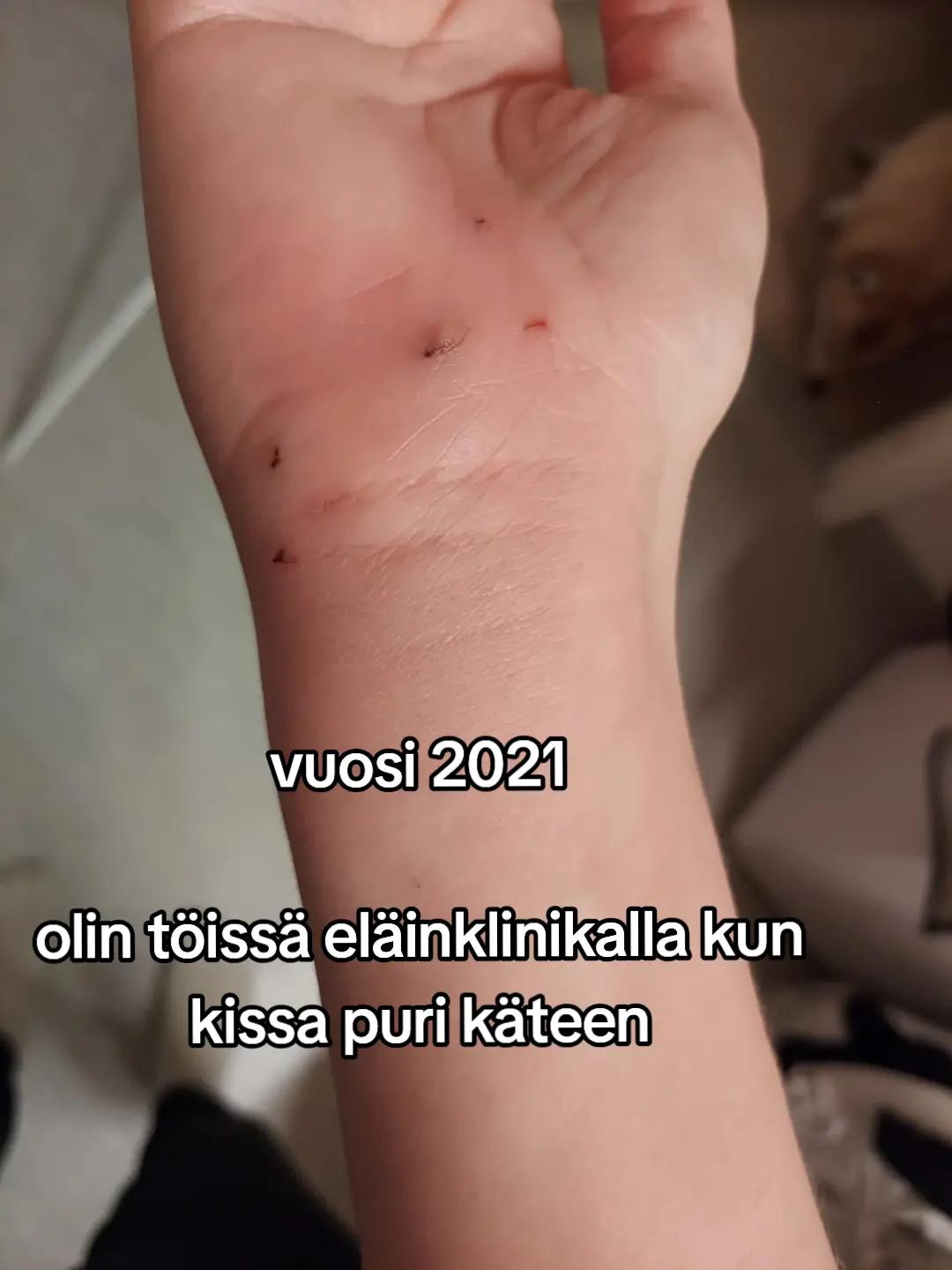 @Kaisa | koirien puolella đ¶
