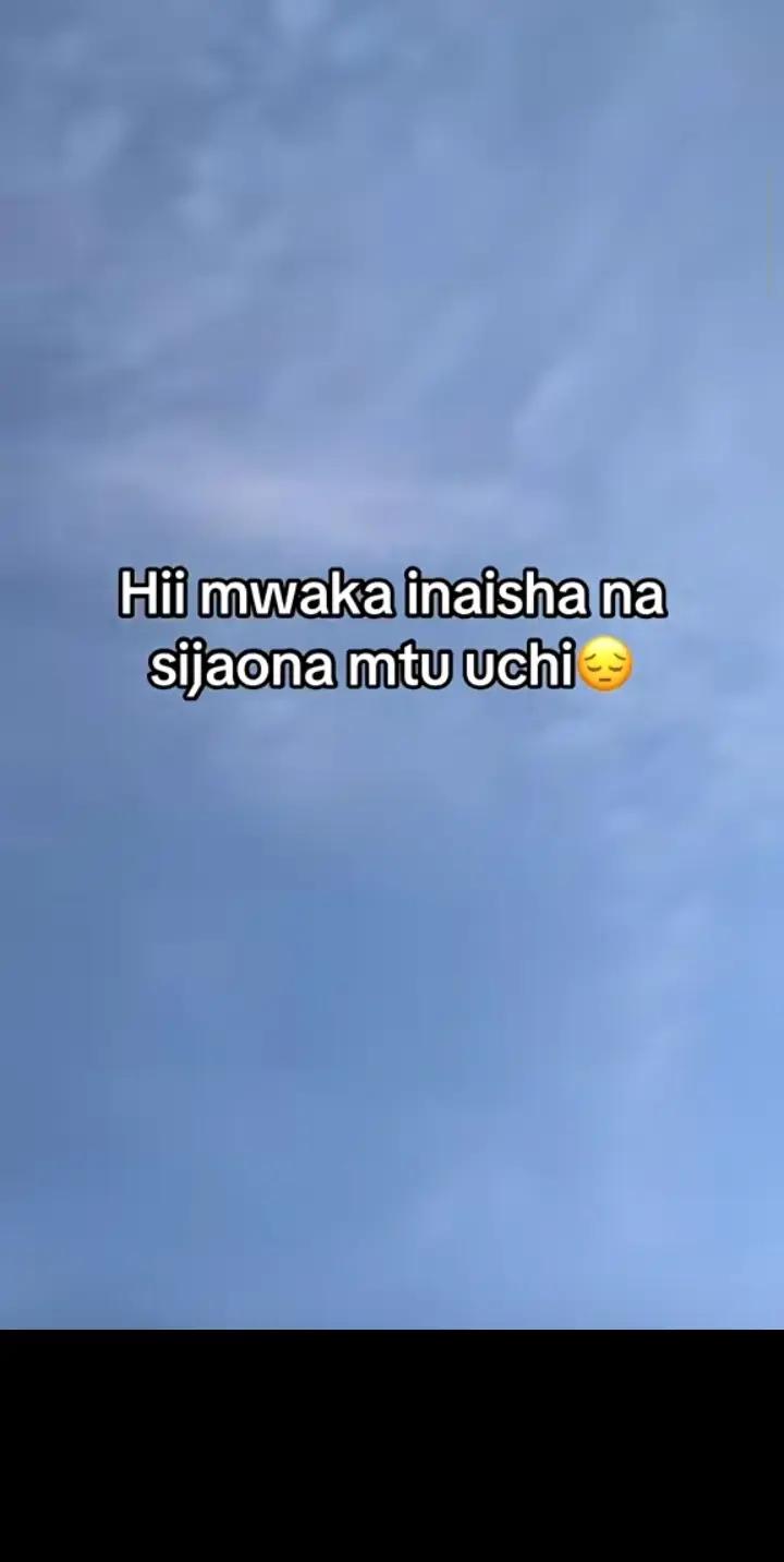 @Champee254