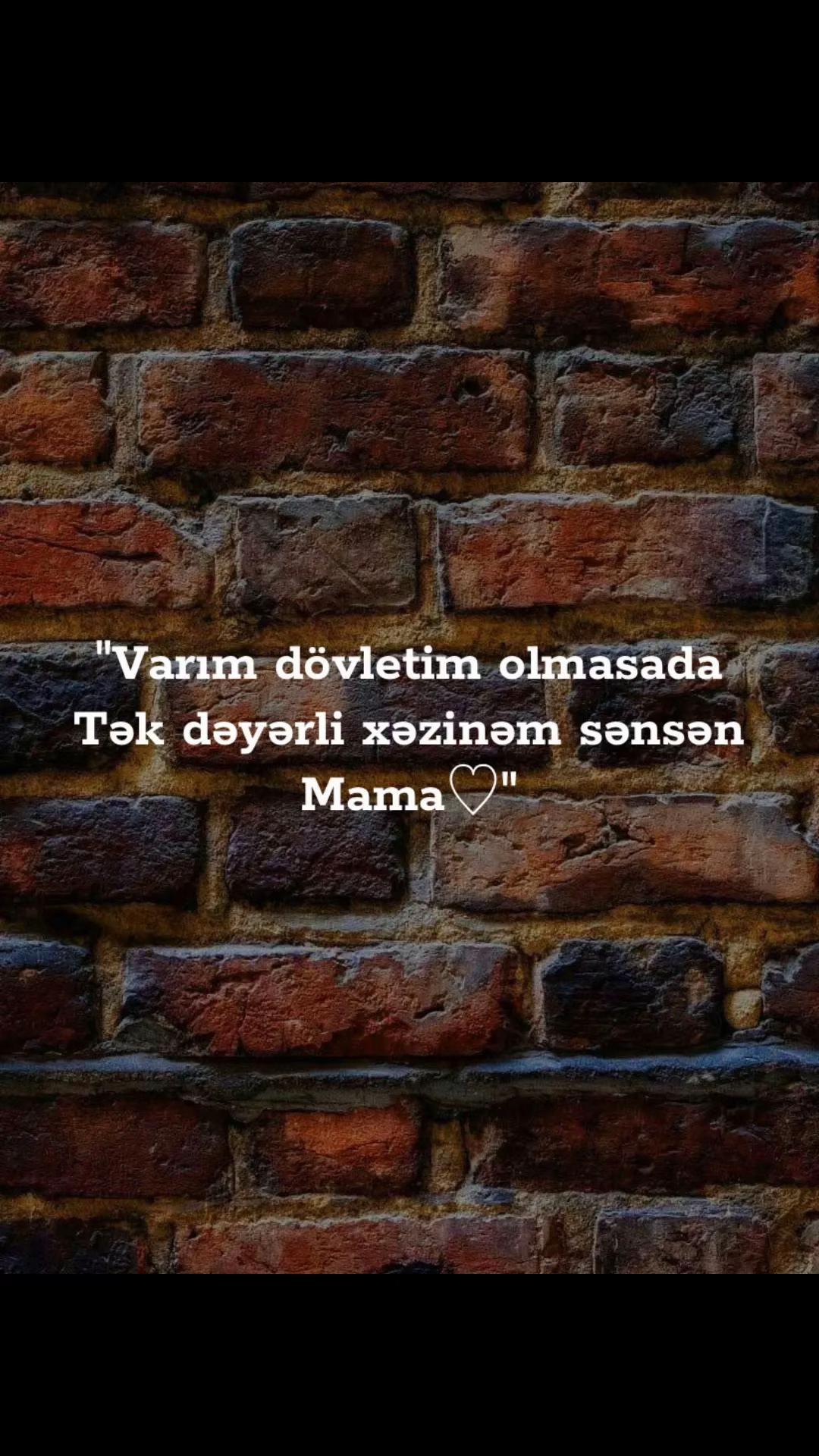 @musiqi_qidasi