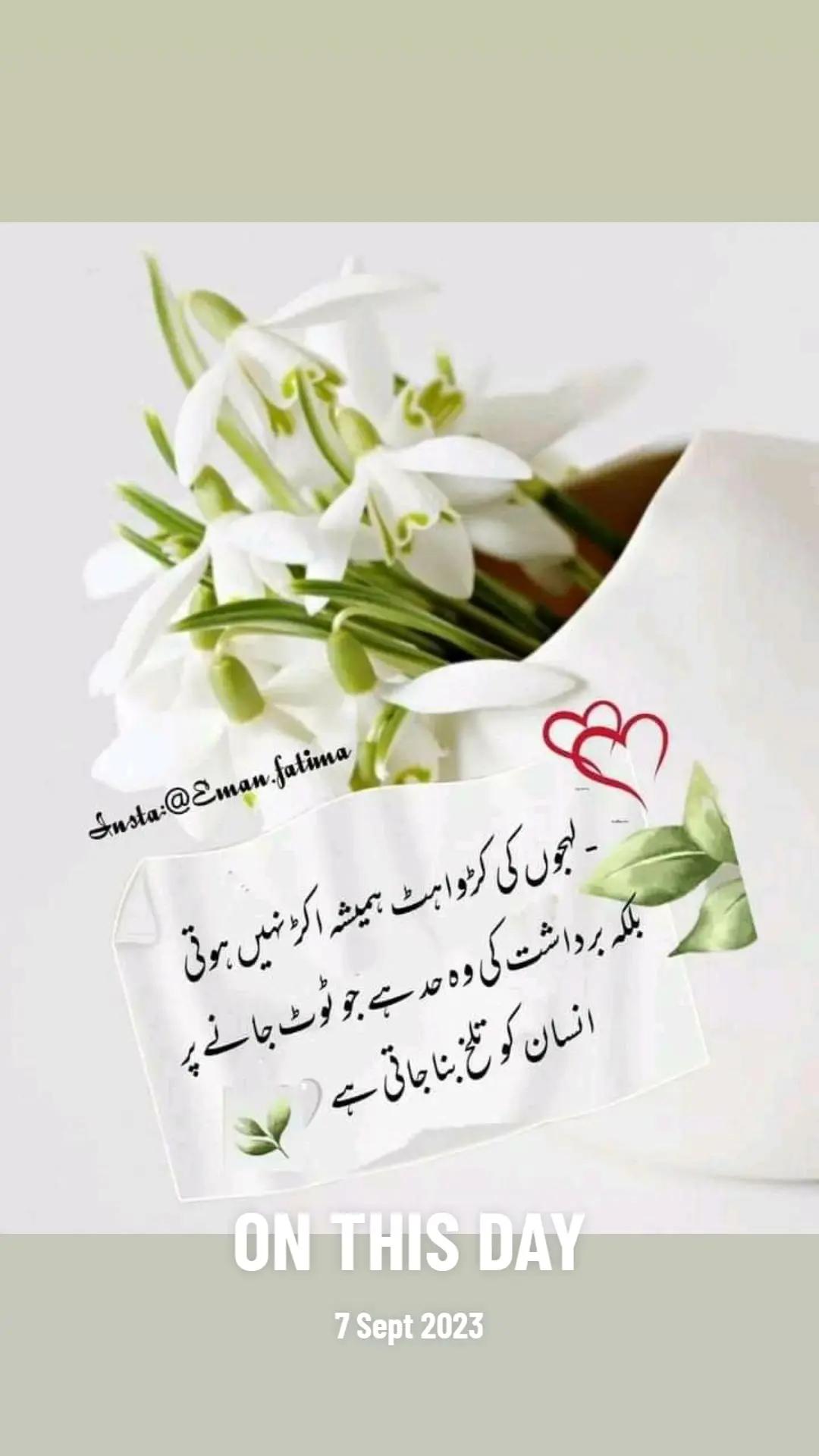 @Anila saleem