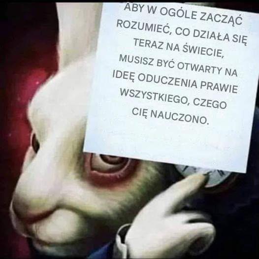 @🇵🇱RaD777🫵🏼konto dwa🇬🇧