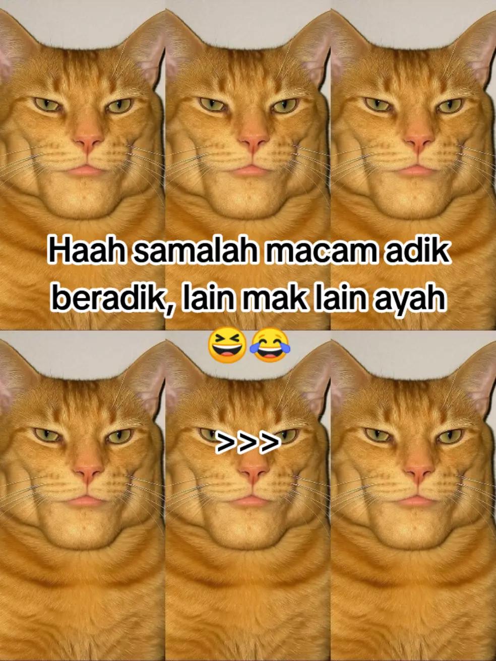 @HykalSazer01