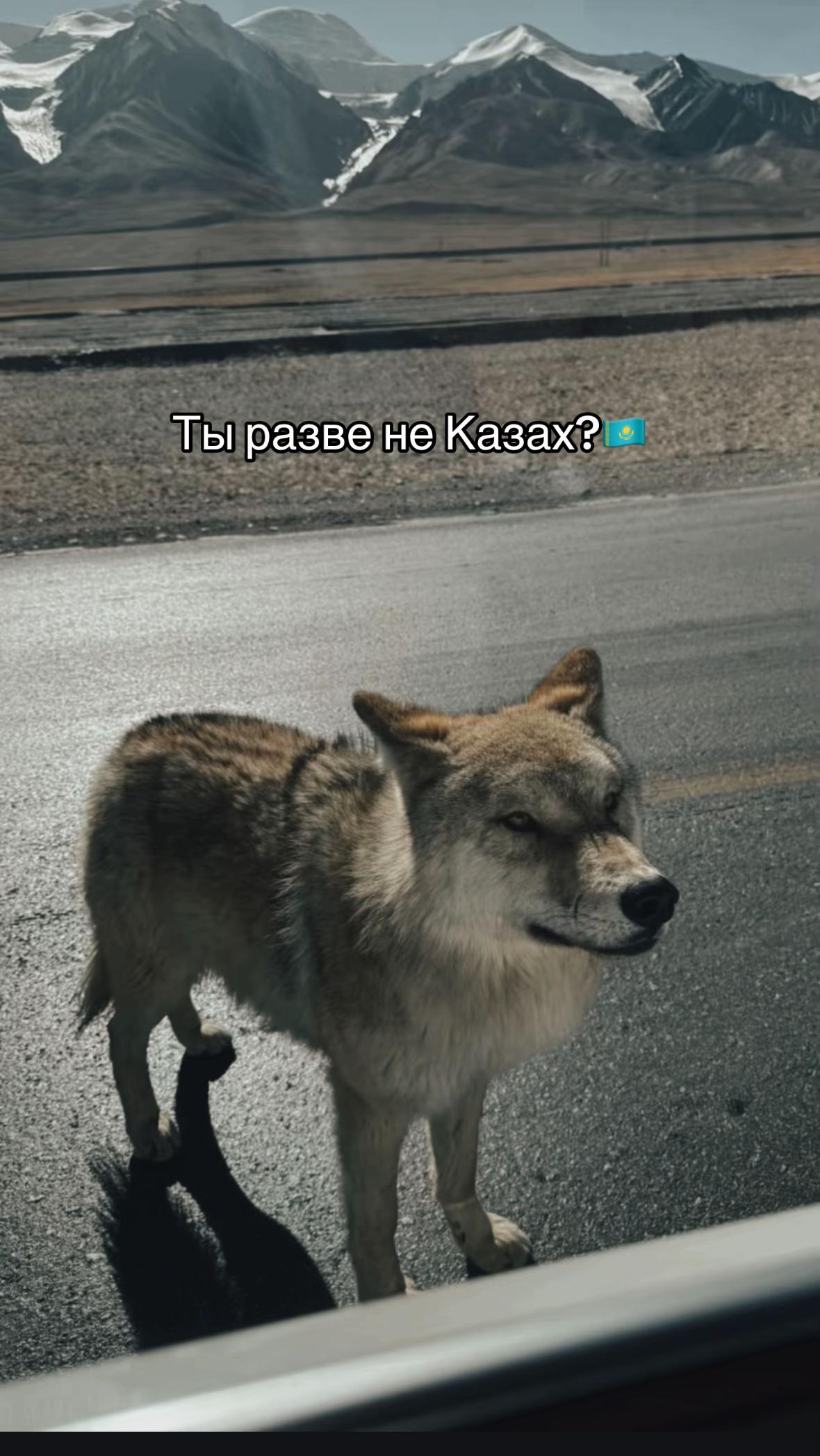 @Hamraev⭐️