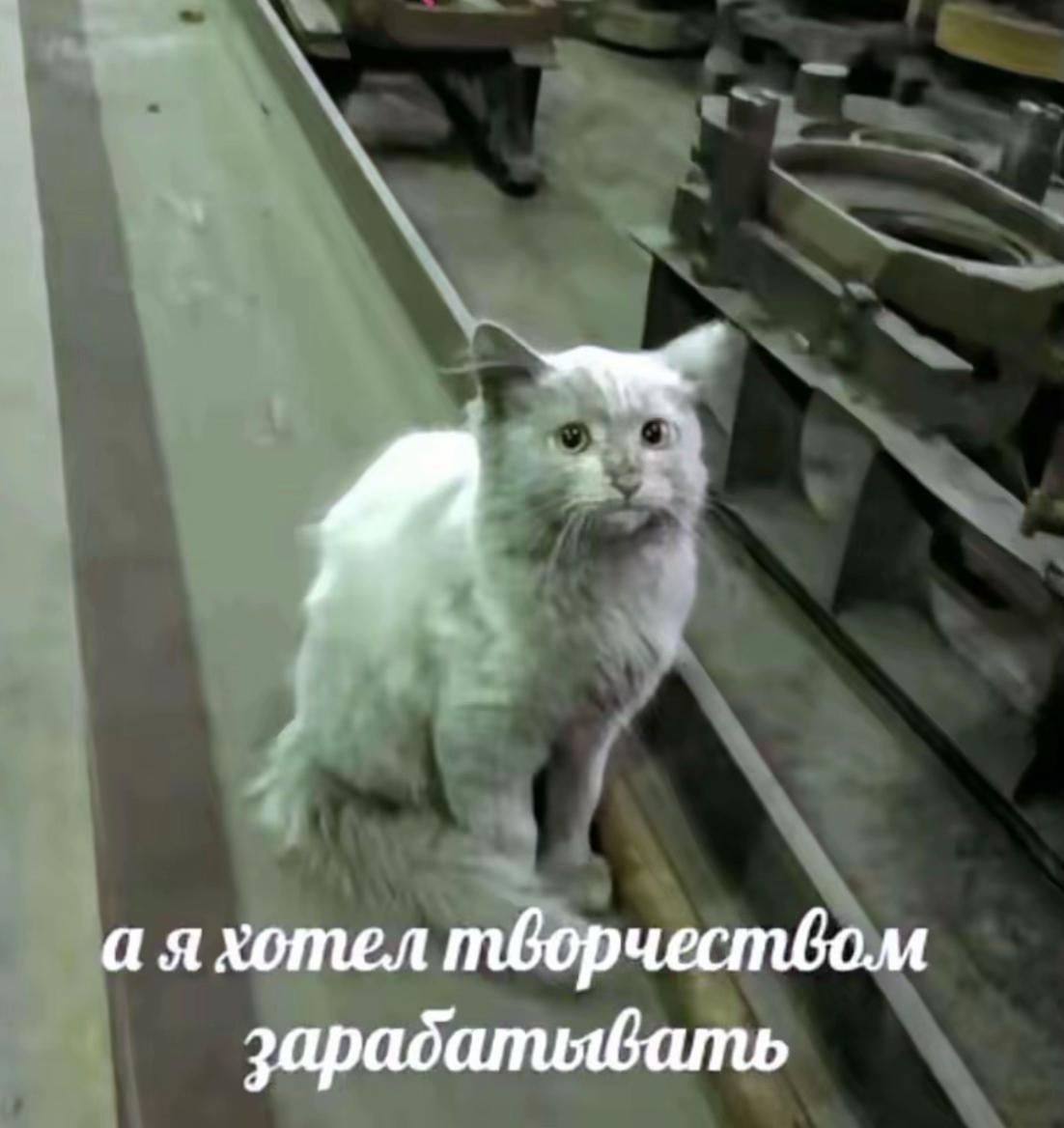 @амимоно ୨୧ ࣪