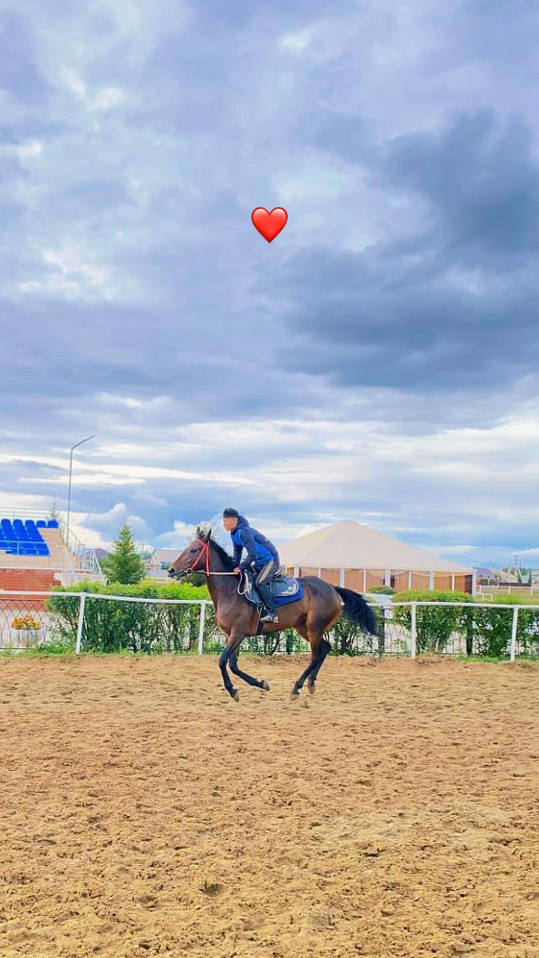 @🐎❤️