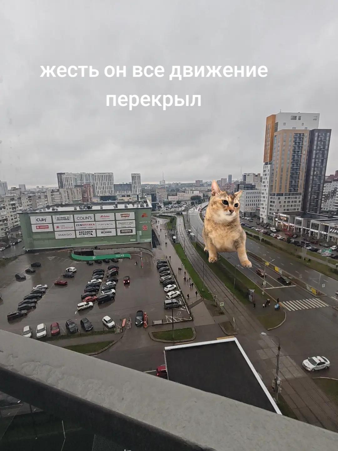@ᛉШаша ᛉ