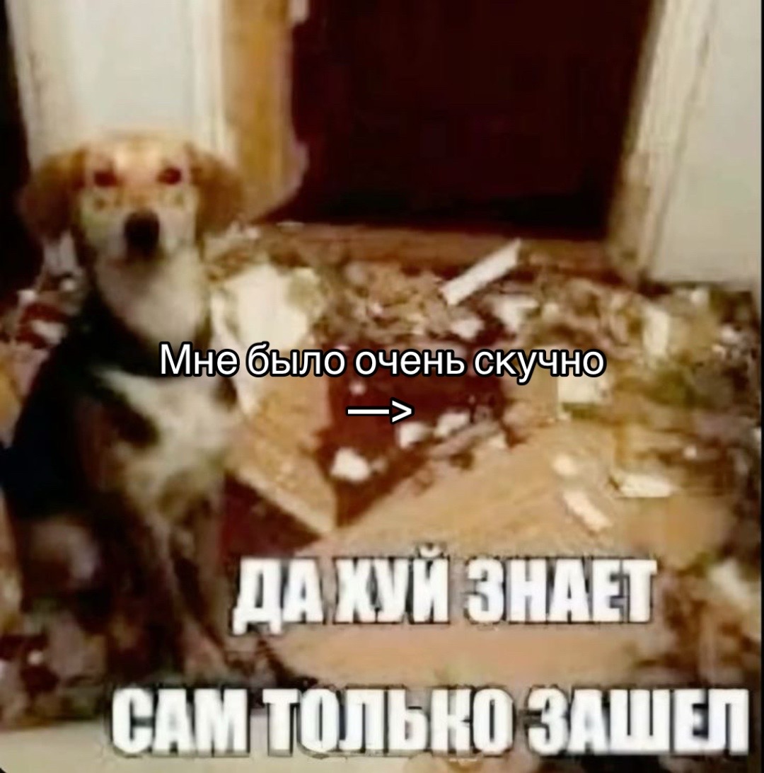 @FRiska_0