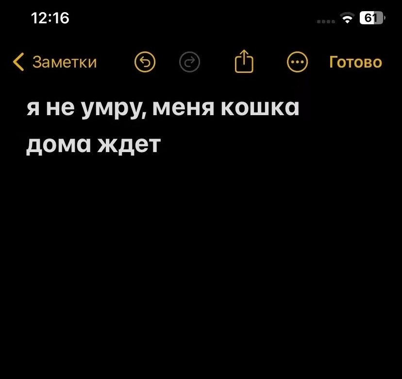 @dodizozl@