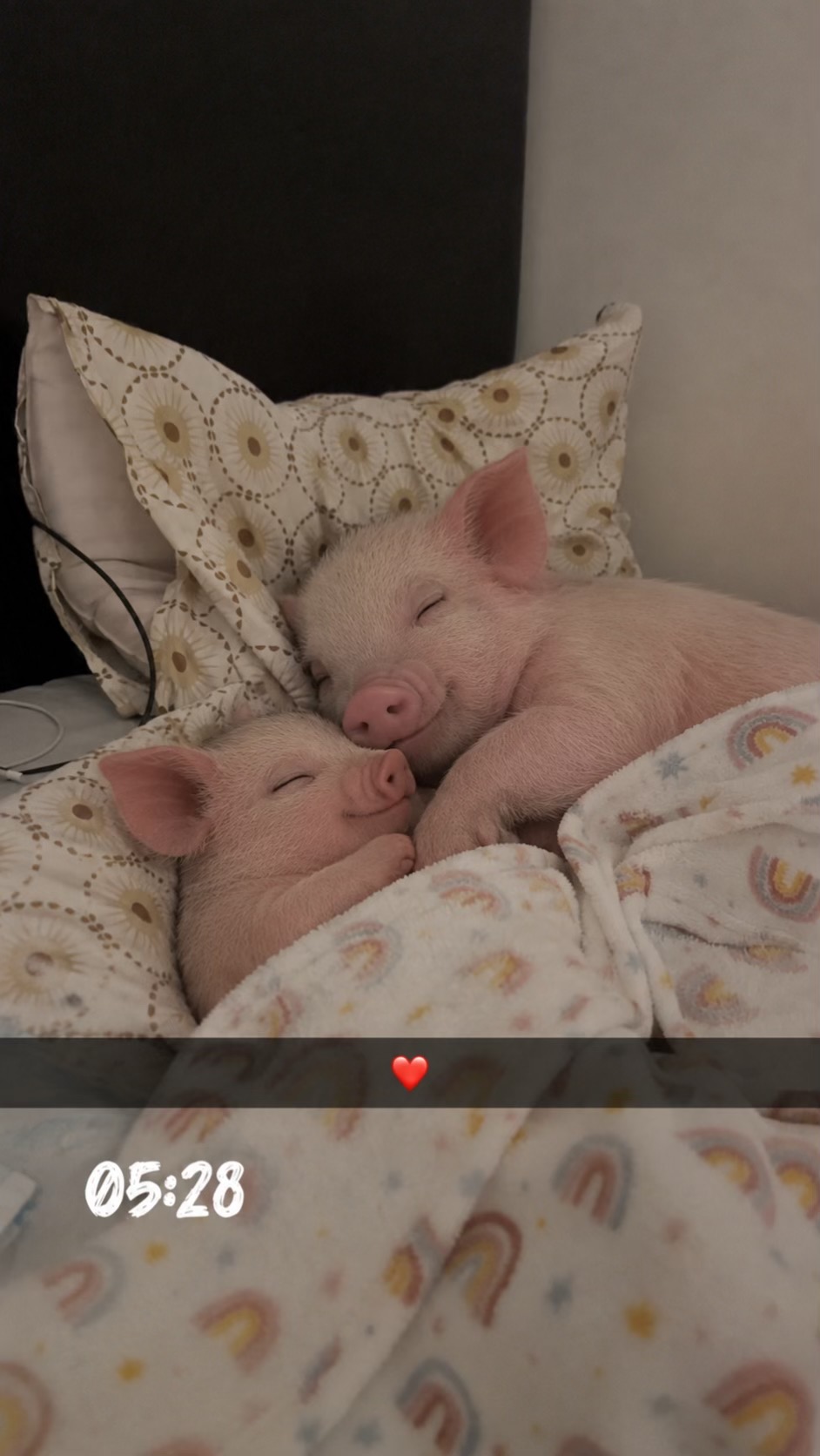 @𝒞ℴ𝓈𝓂𝒾𝓃𝒶💫