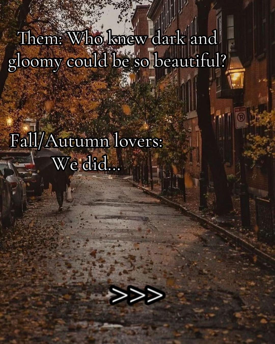 @Cosyseasonglory🍂🎃🎄
