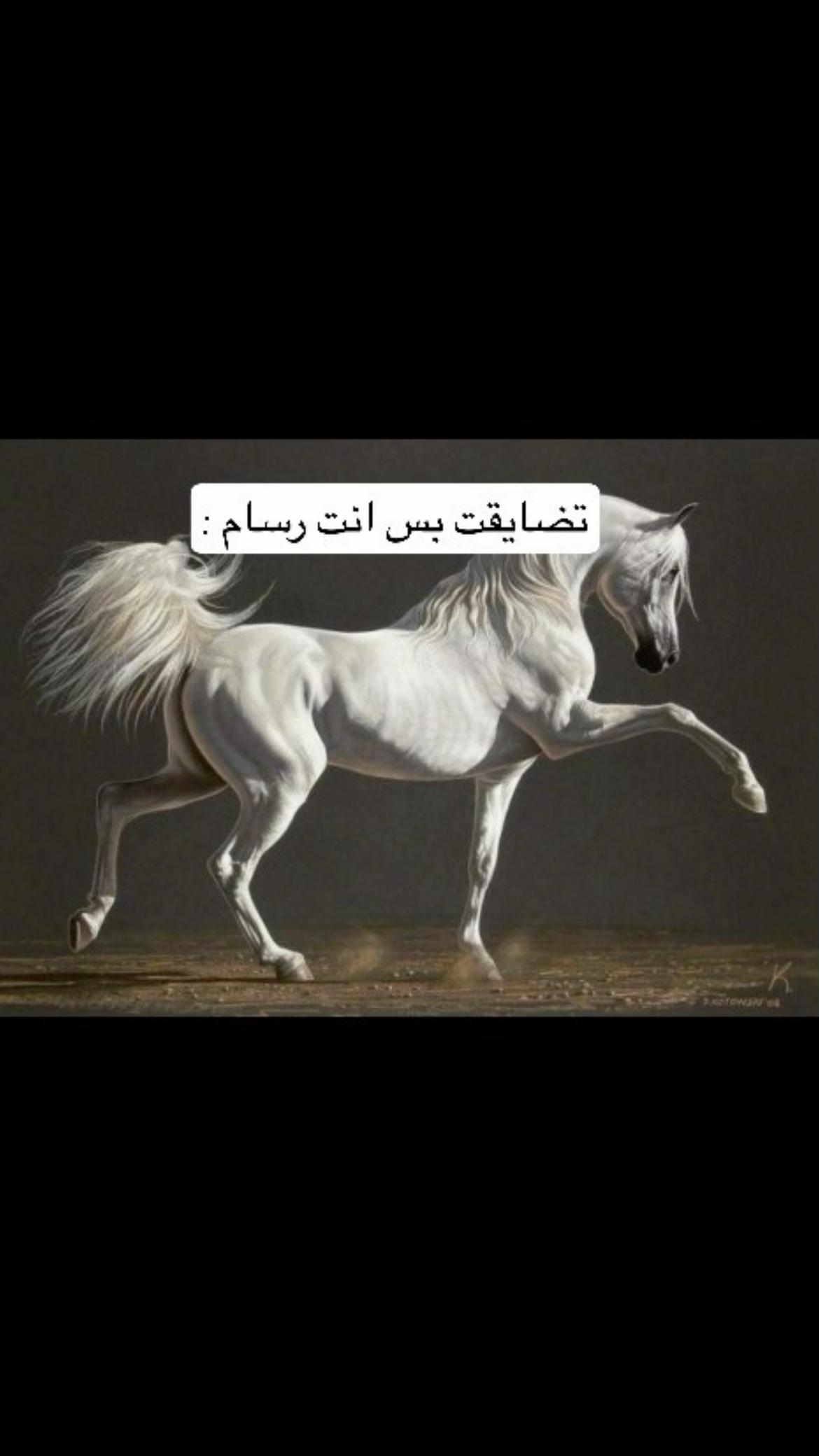 @Mr.Blue