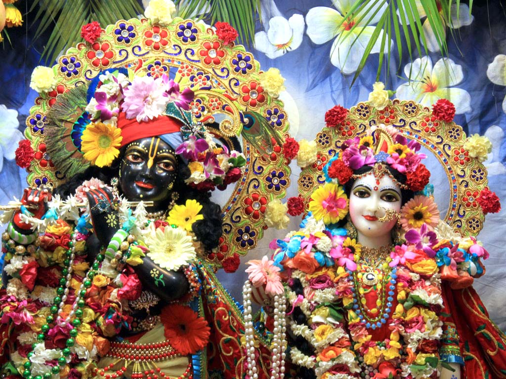 @Radhe Radhe 💐