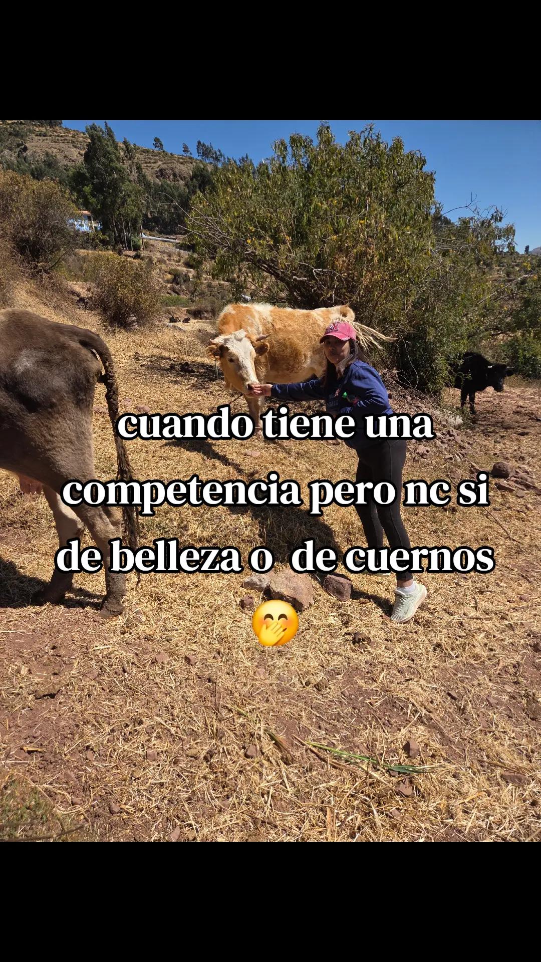 @sol 💜🫶