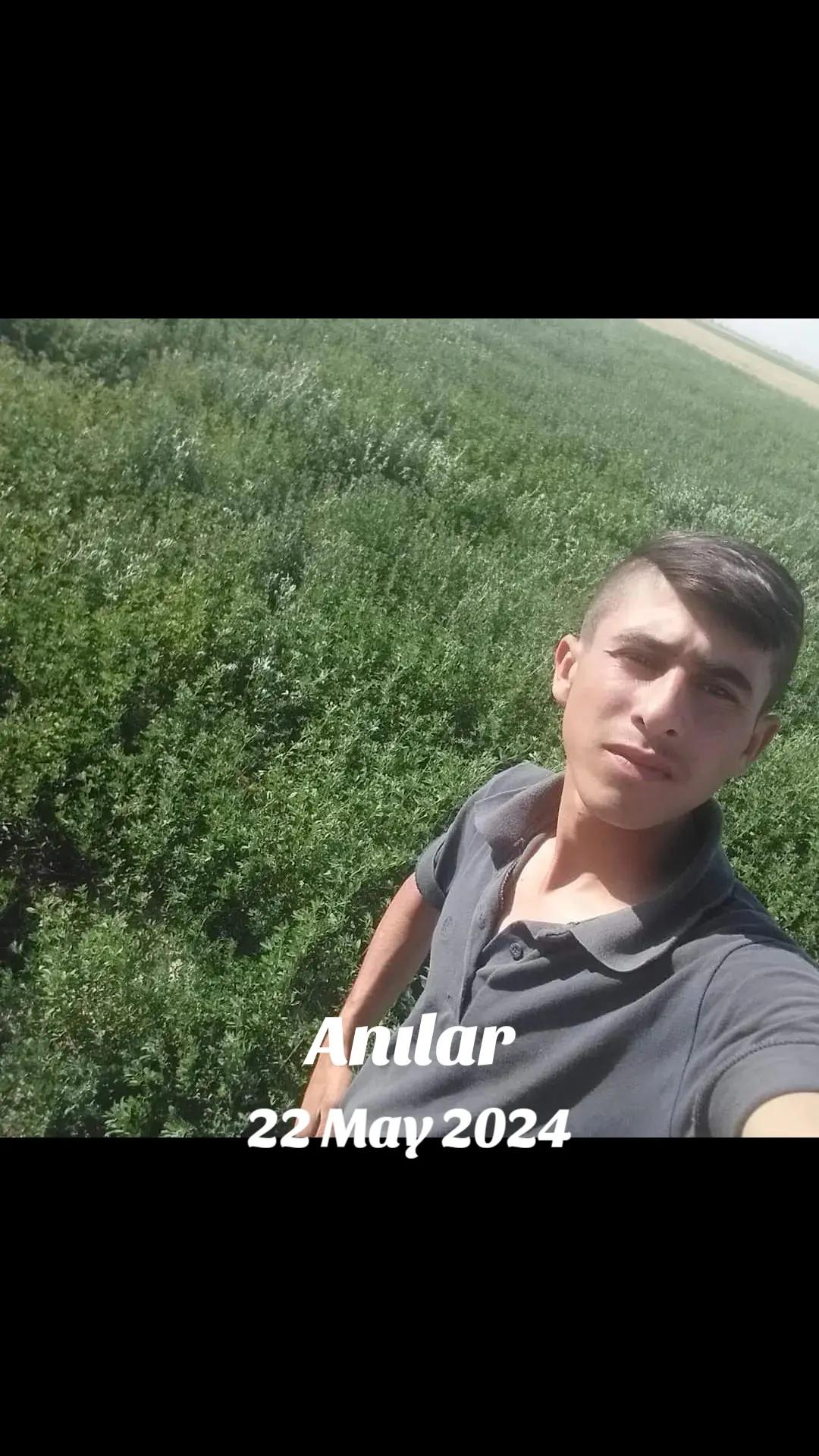 @Mustafa Doğan14667