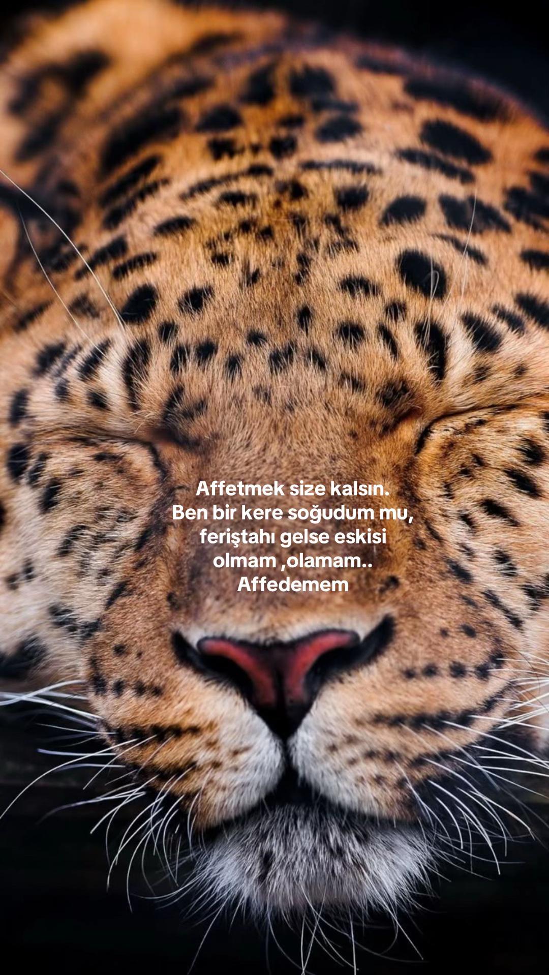 @Atarlı Kadın