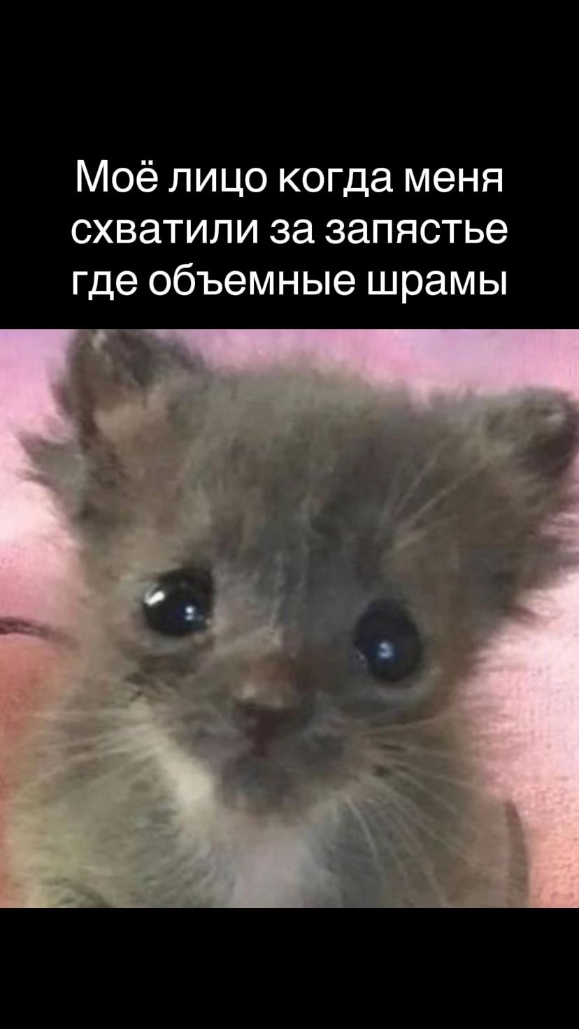 @_Only_Fima_