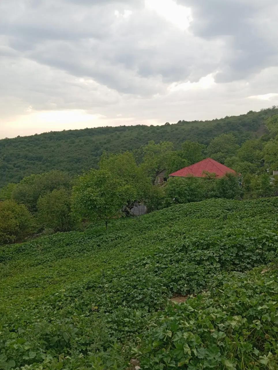 @the_girk_ismayıllı