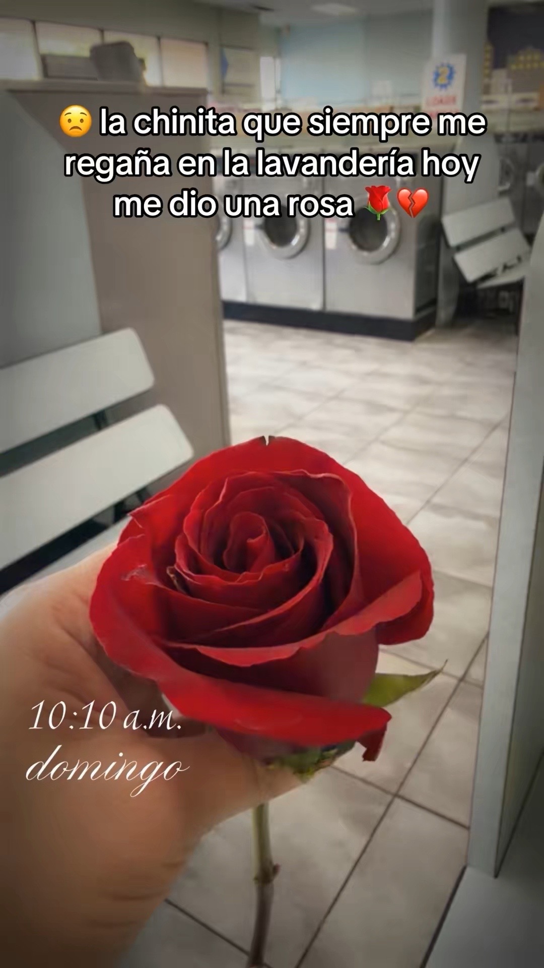 @🌻🦙🦉JC7⛰️🦅🧚🎀