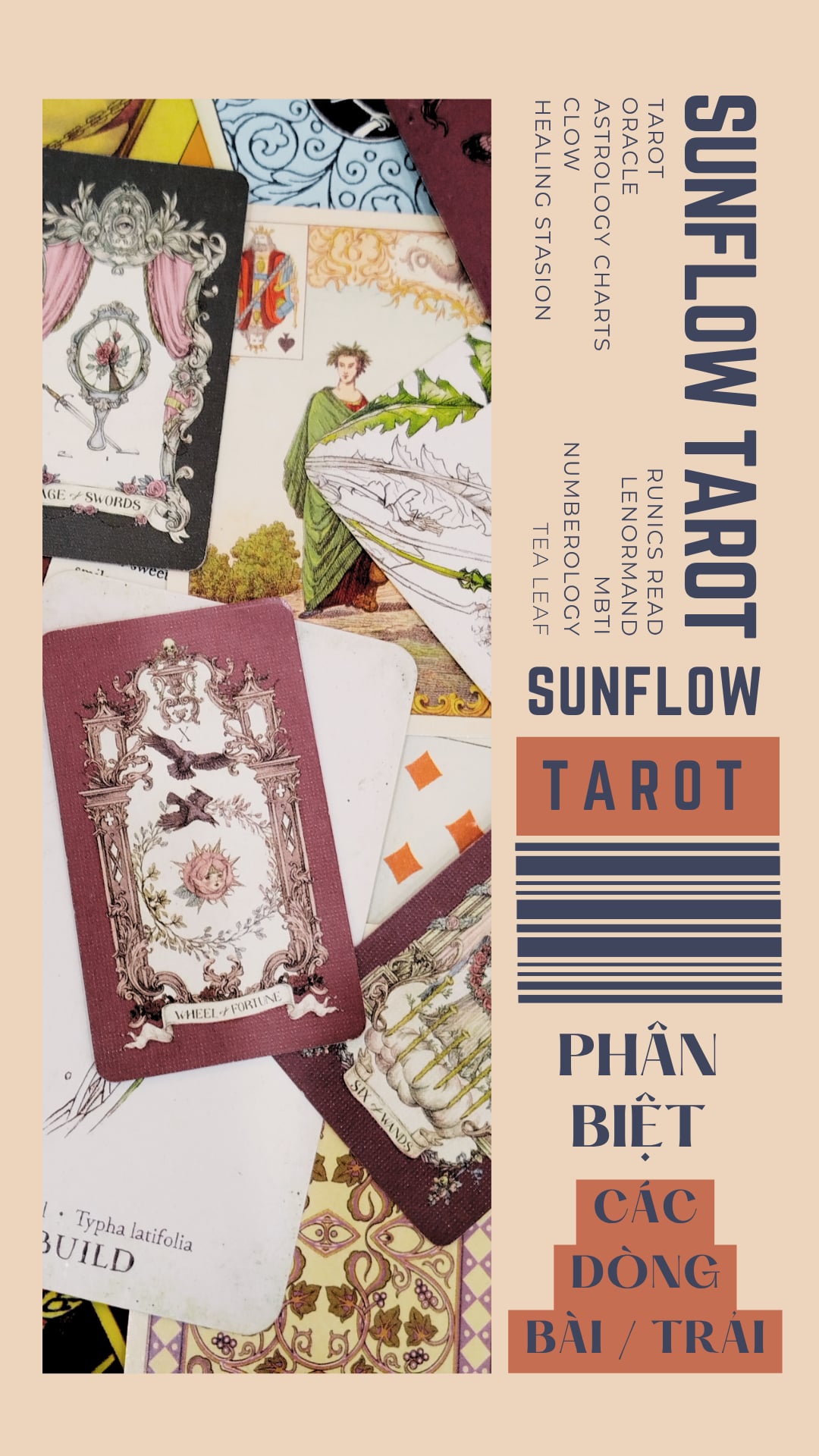 @sunflow_tarot