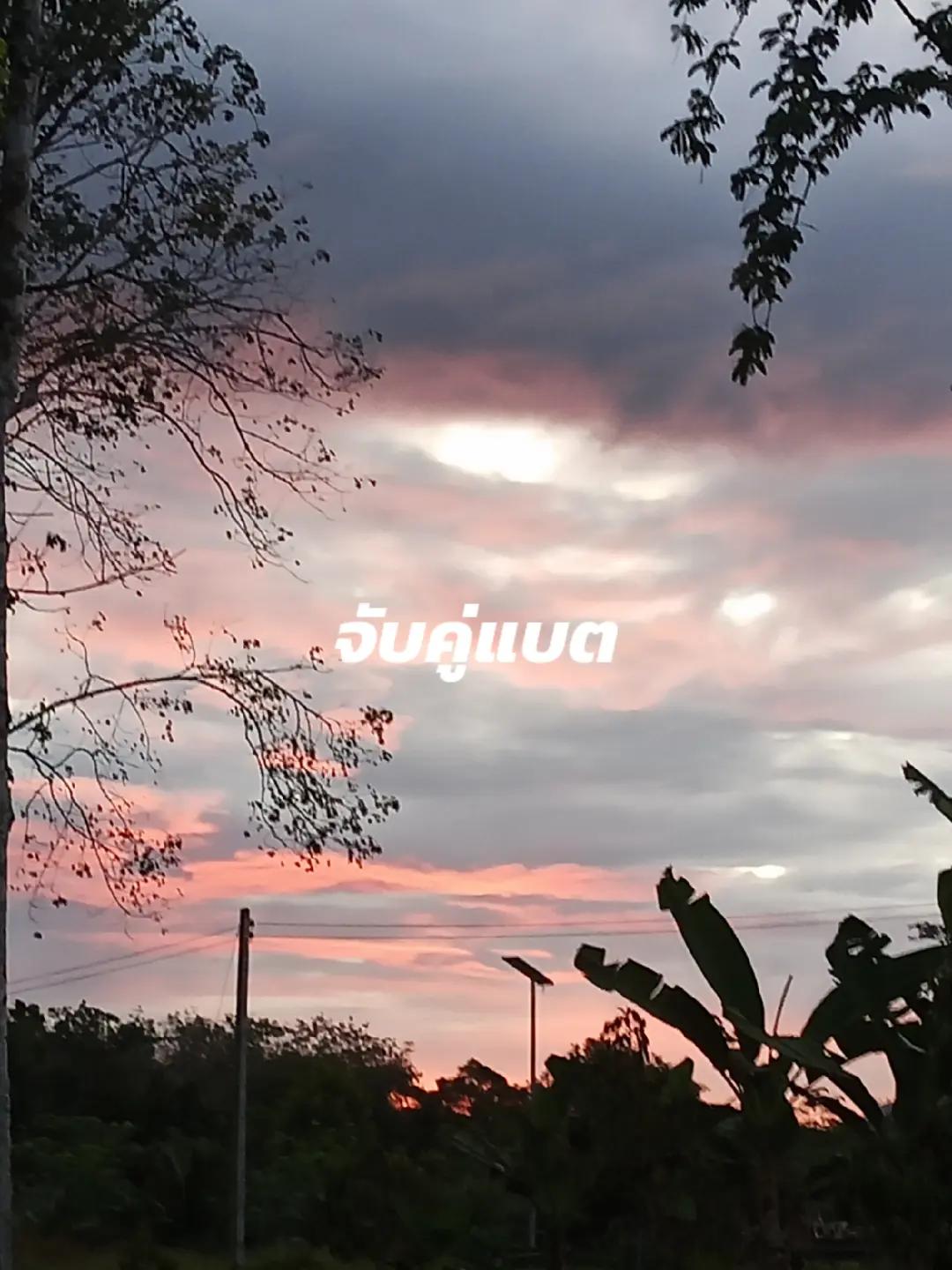 @ᴘᴏᴋ_ᴋᴇᴇ59シ︎(ช่องสตรีม)