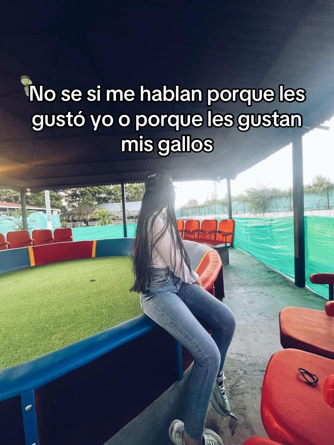 @Fabiana Rodriguez
