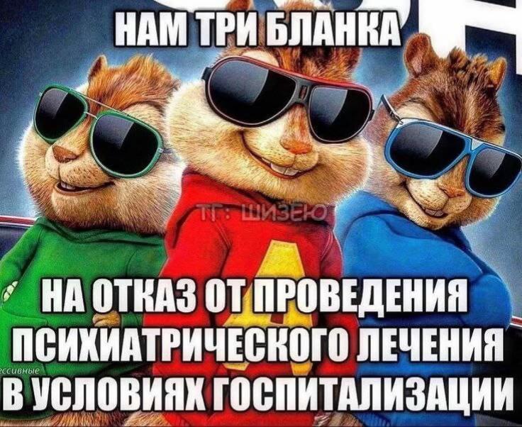 @tg: shchenokk