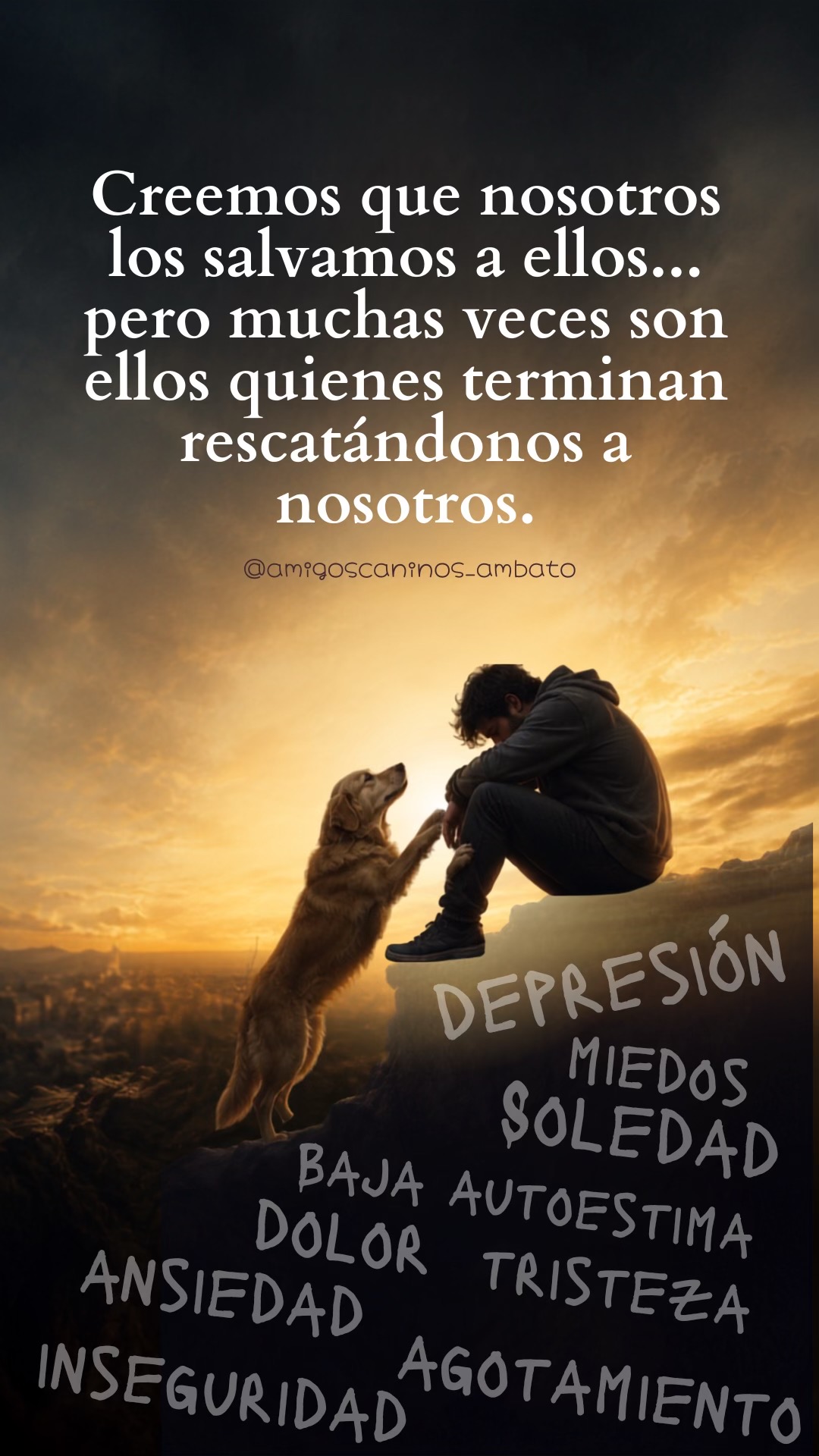 @Amigoscaninos_Ambato