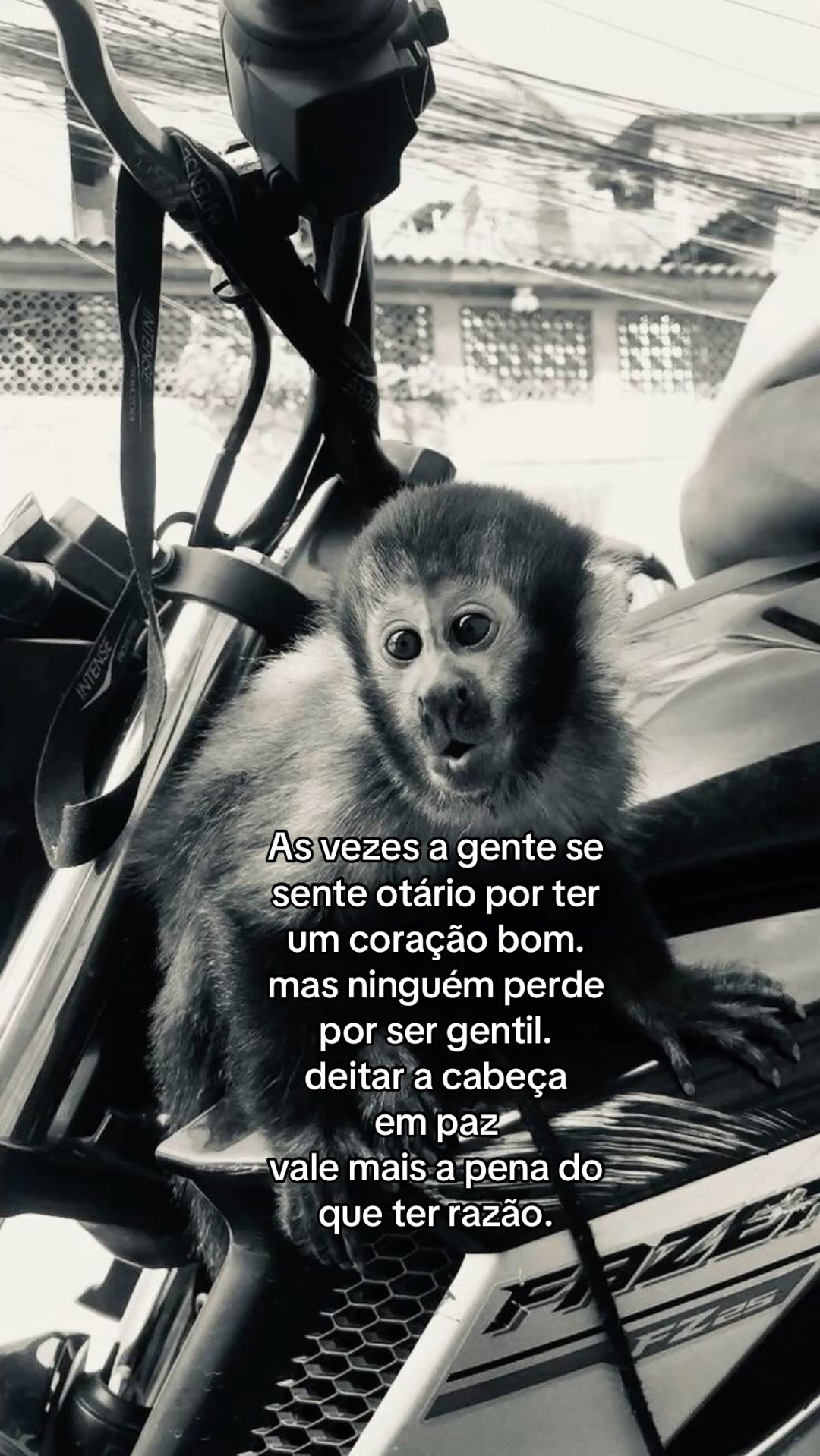 @junin 