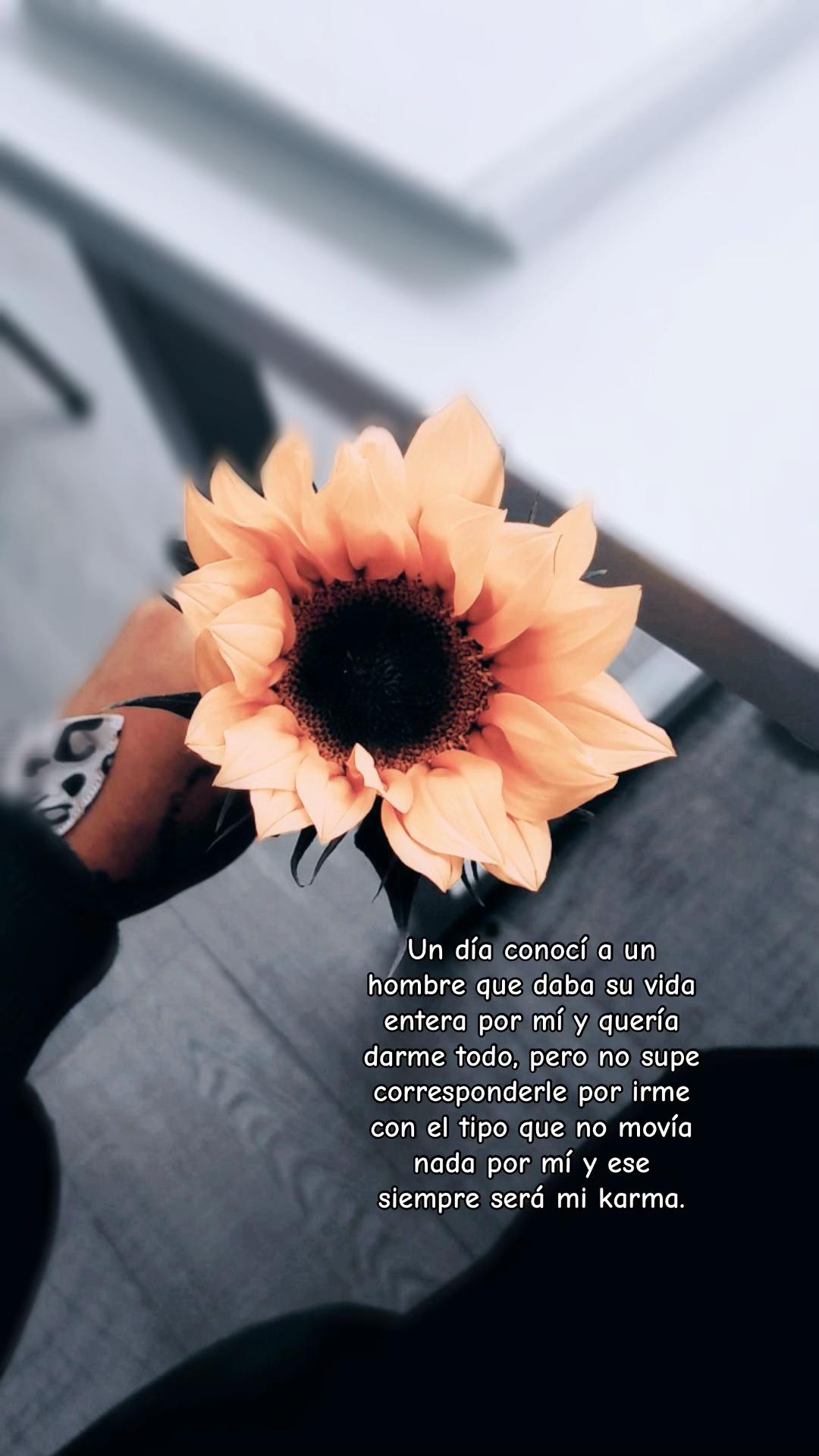 @ᗪᗩYᗩ ^-^