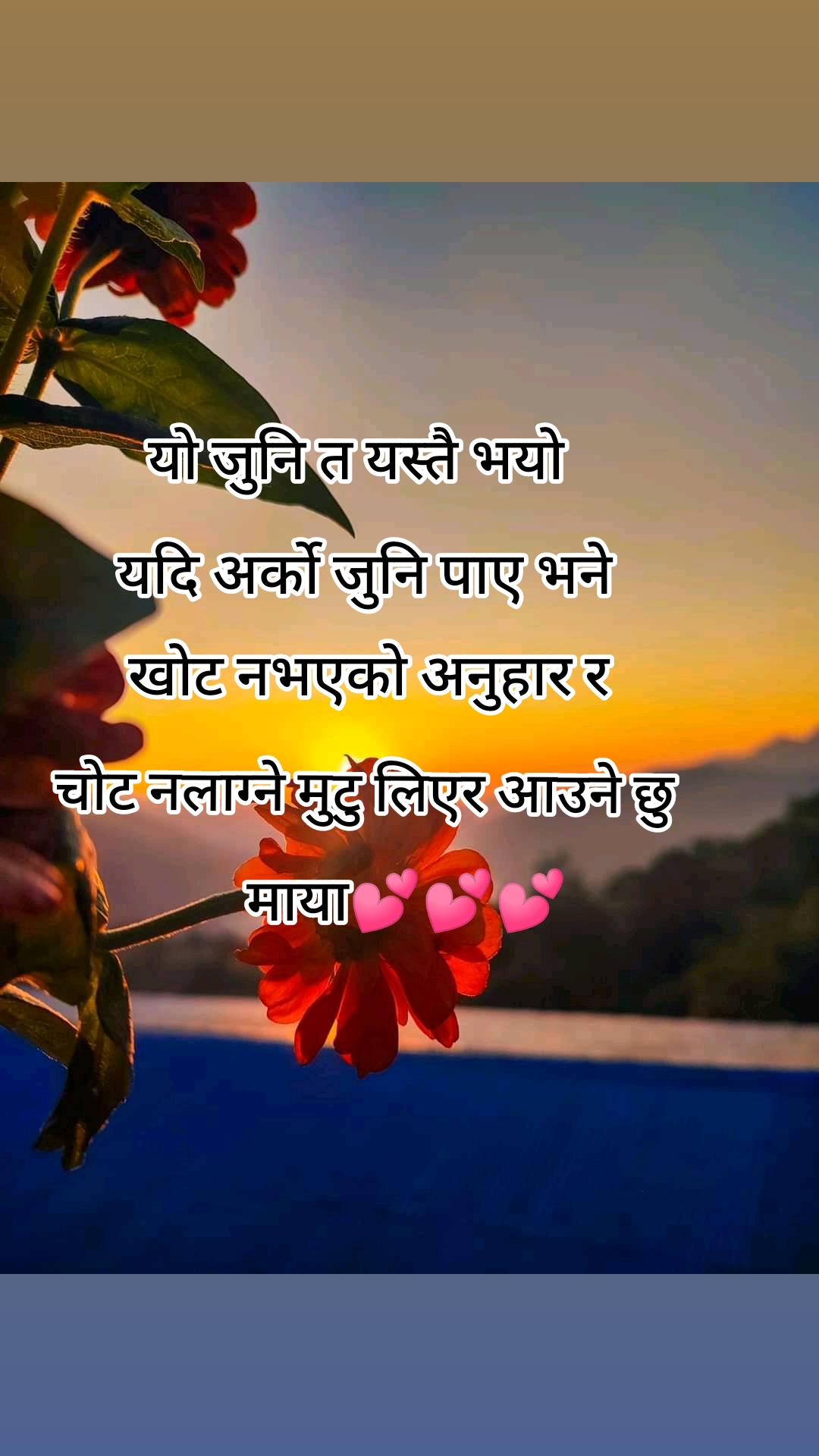 @🕊️