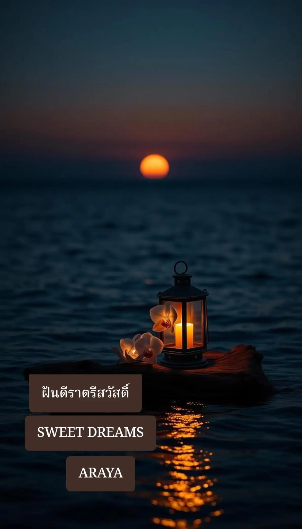 @อารยา araya