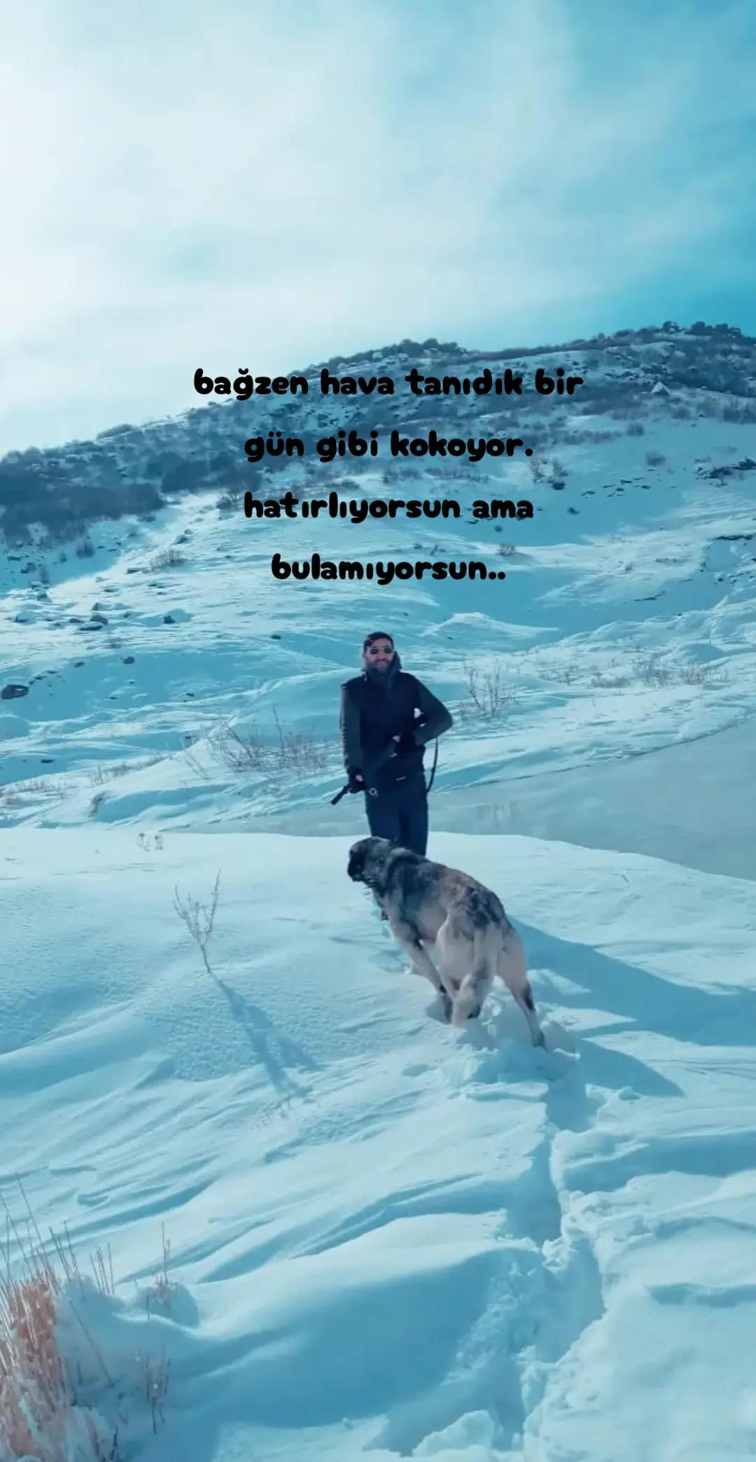 @Abdullah Özçelik