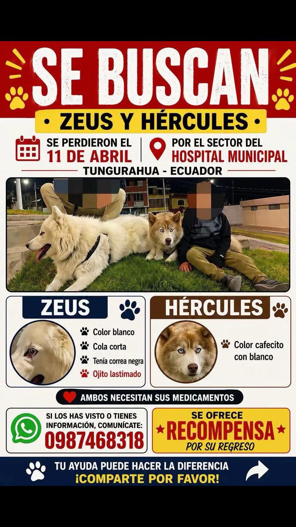 @Amigoscaninos_Ambato