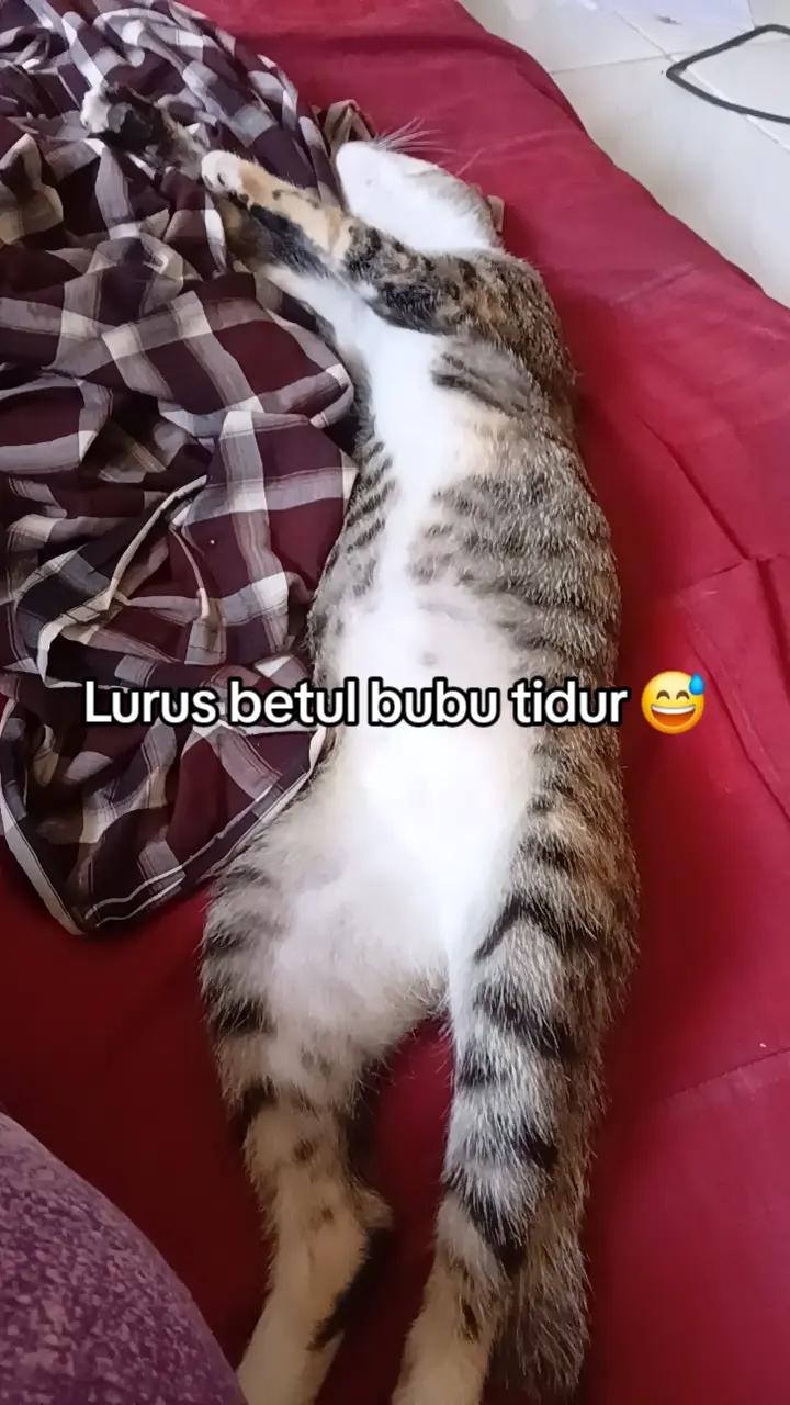 @👸Quëën Märch 🇲🇨