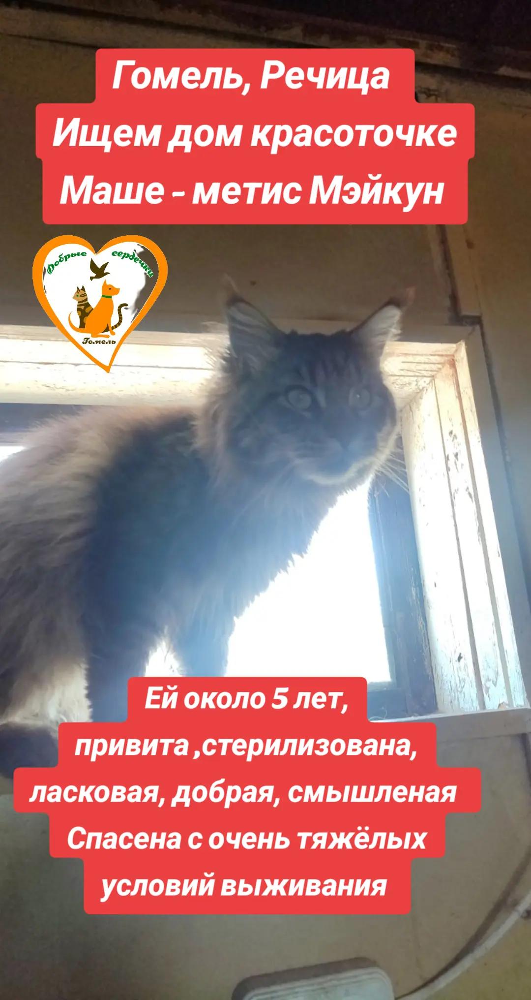 @Марина