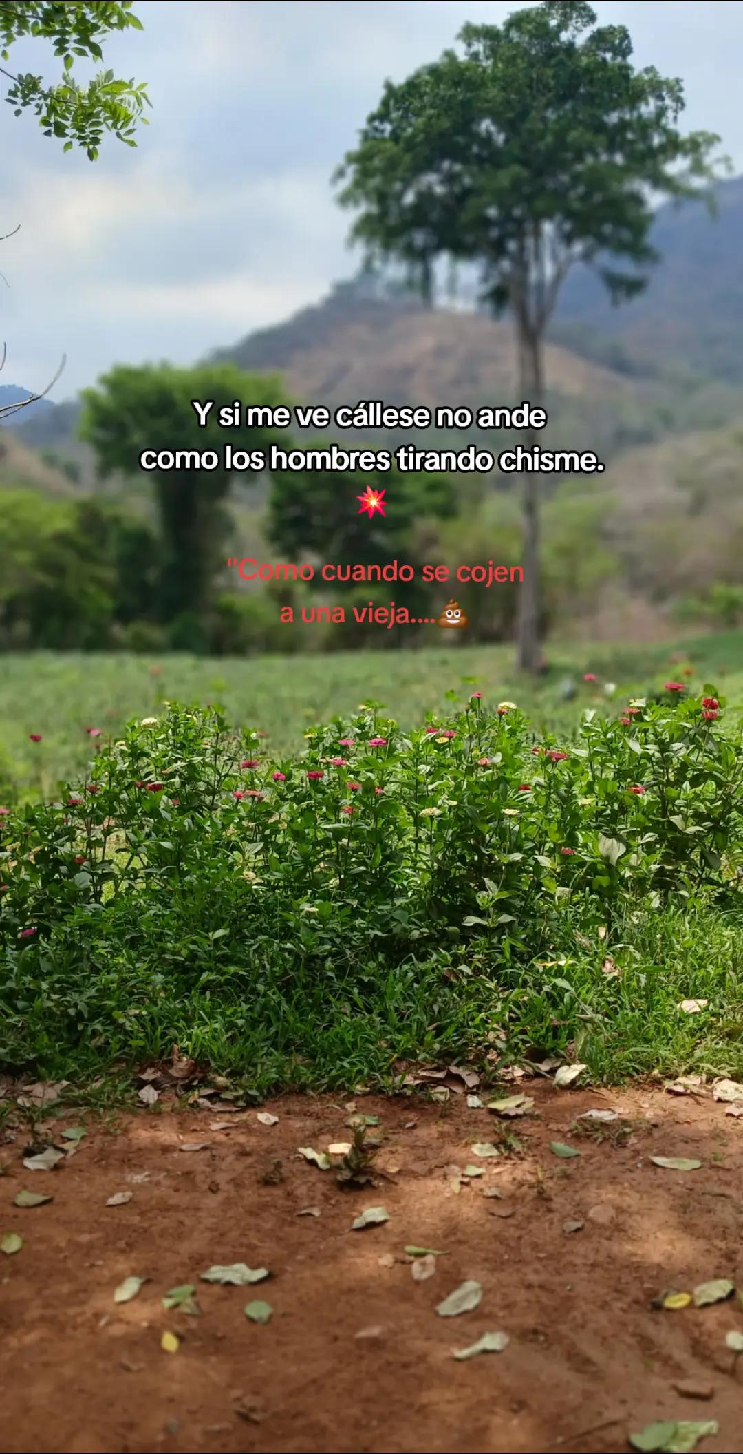 @🐣❤️🅰.PARA DEDICAR..💘