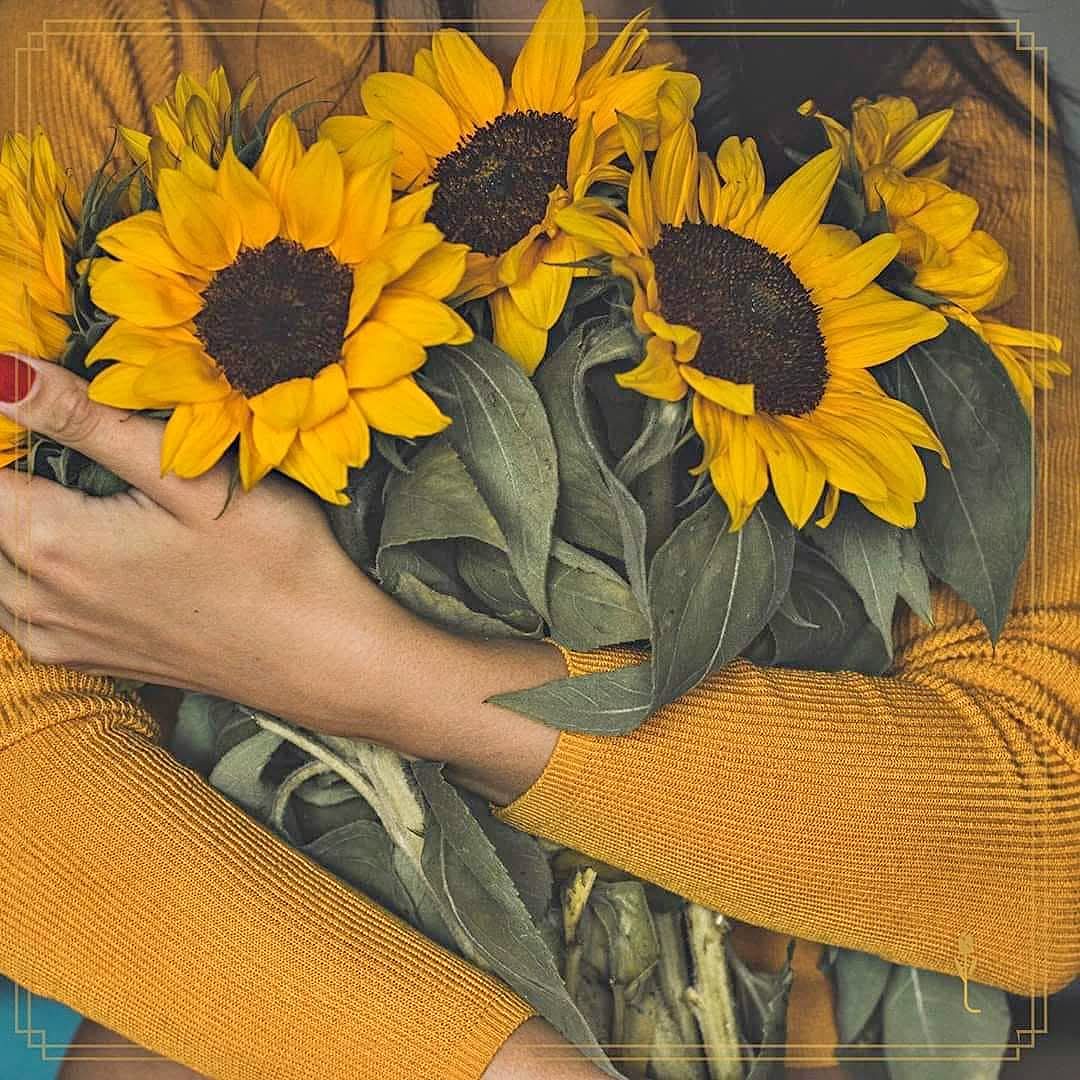 @09_Julieta🪻