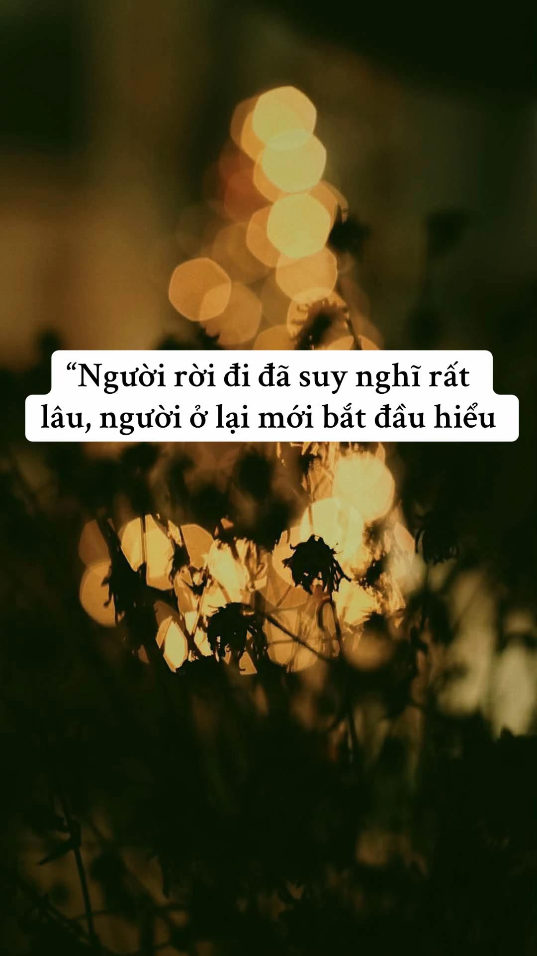 @Nozy