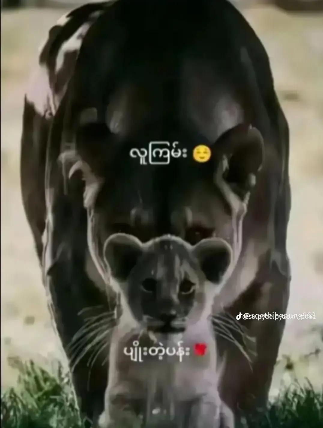 @çhïtkøkø