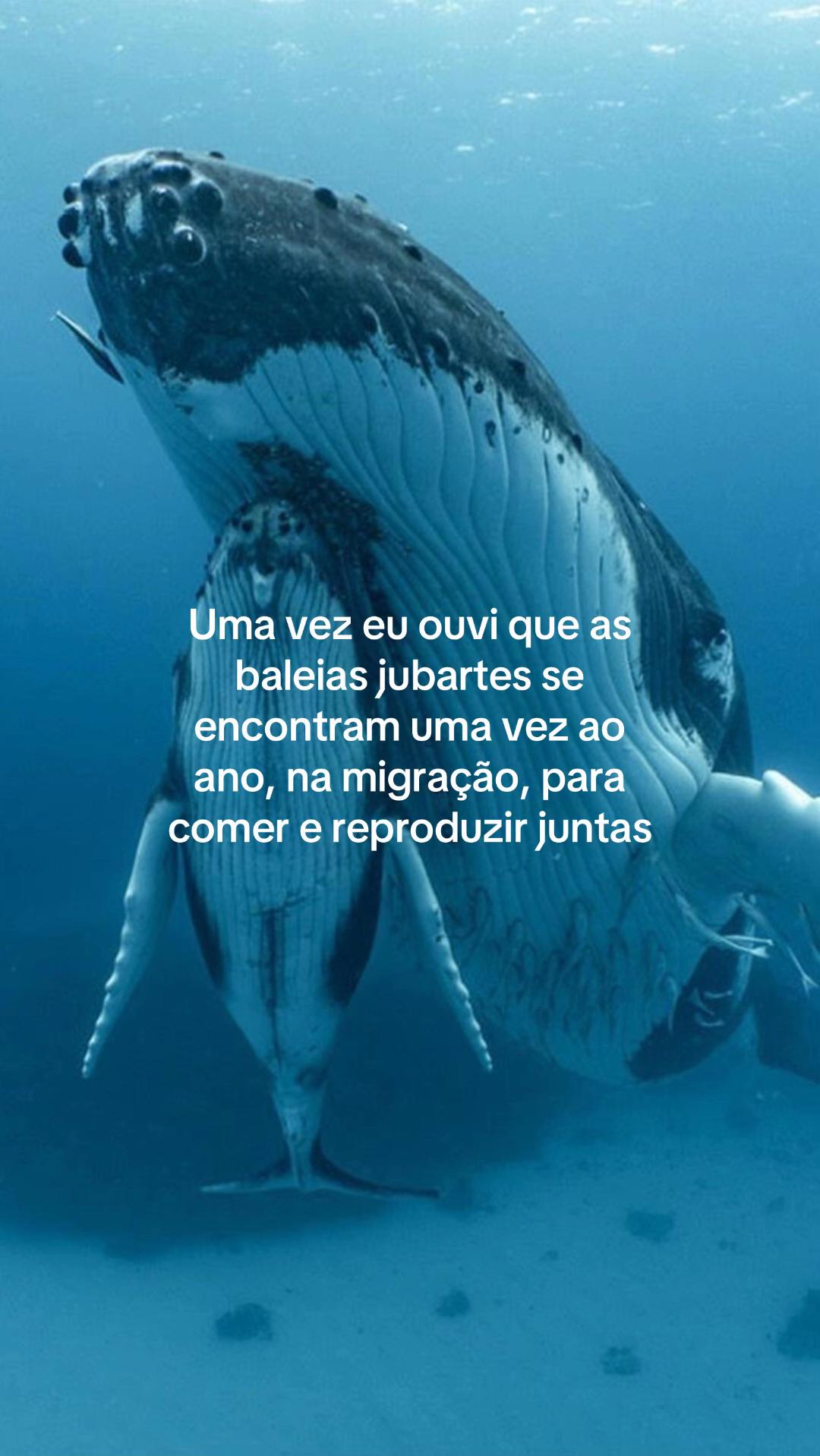 @Maria ManOela