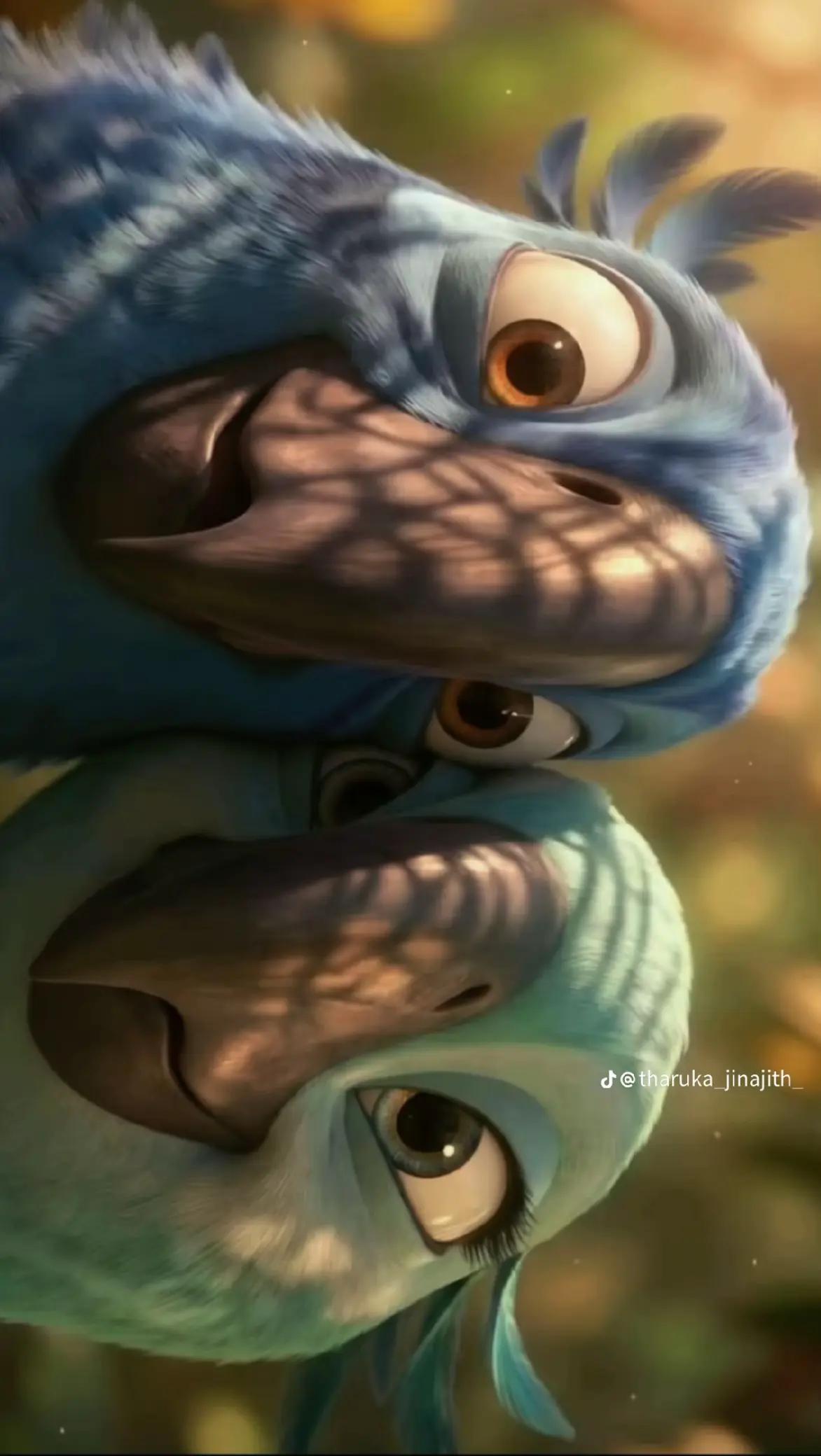 @Mr.රුවනා