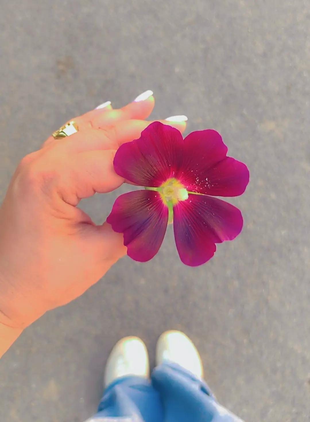 @Matilda🌺