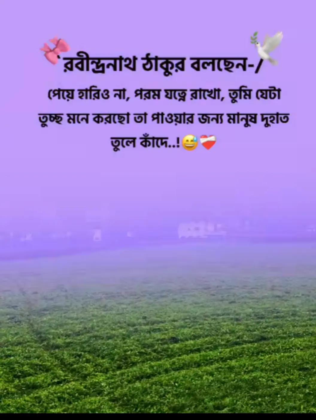 @F.MAHBUB