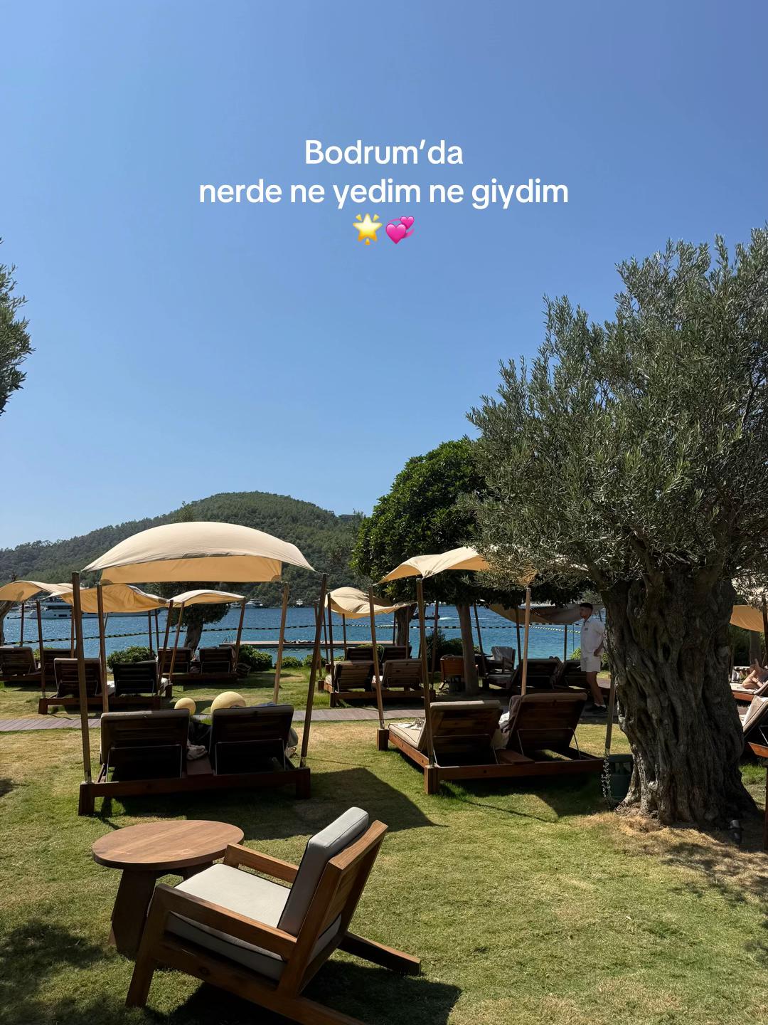 @Zeynep