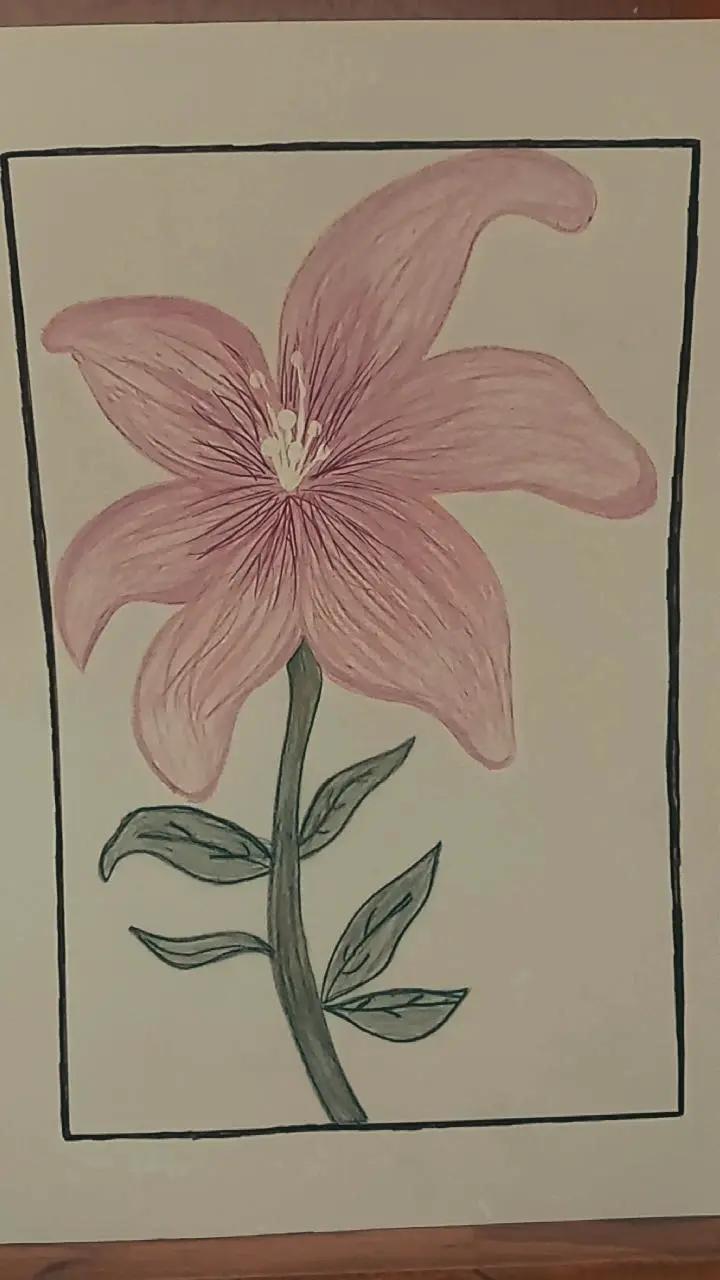 @nayar_eth12