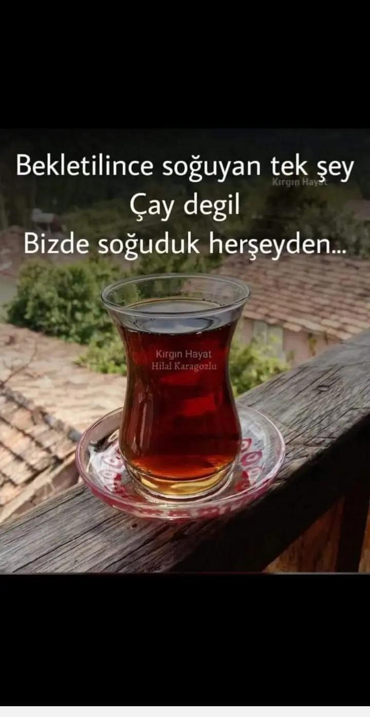 @81 D&uuml;zce