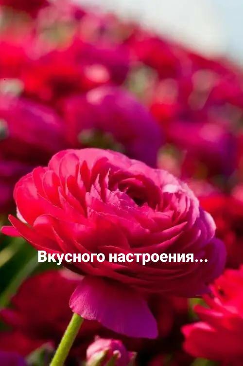 @Мила Телец.