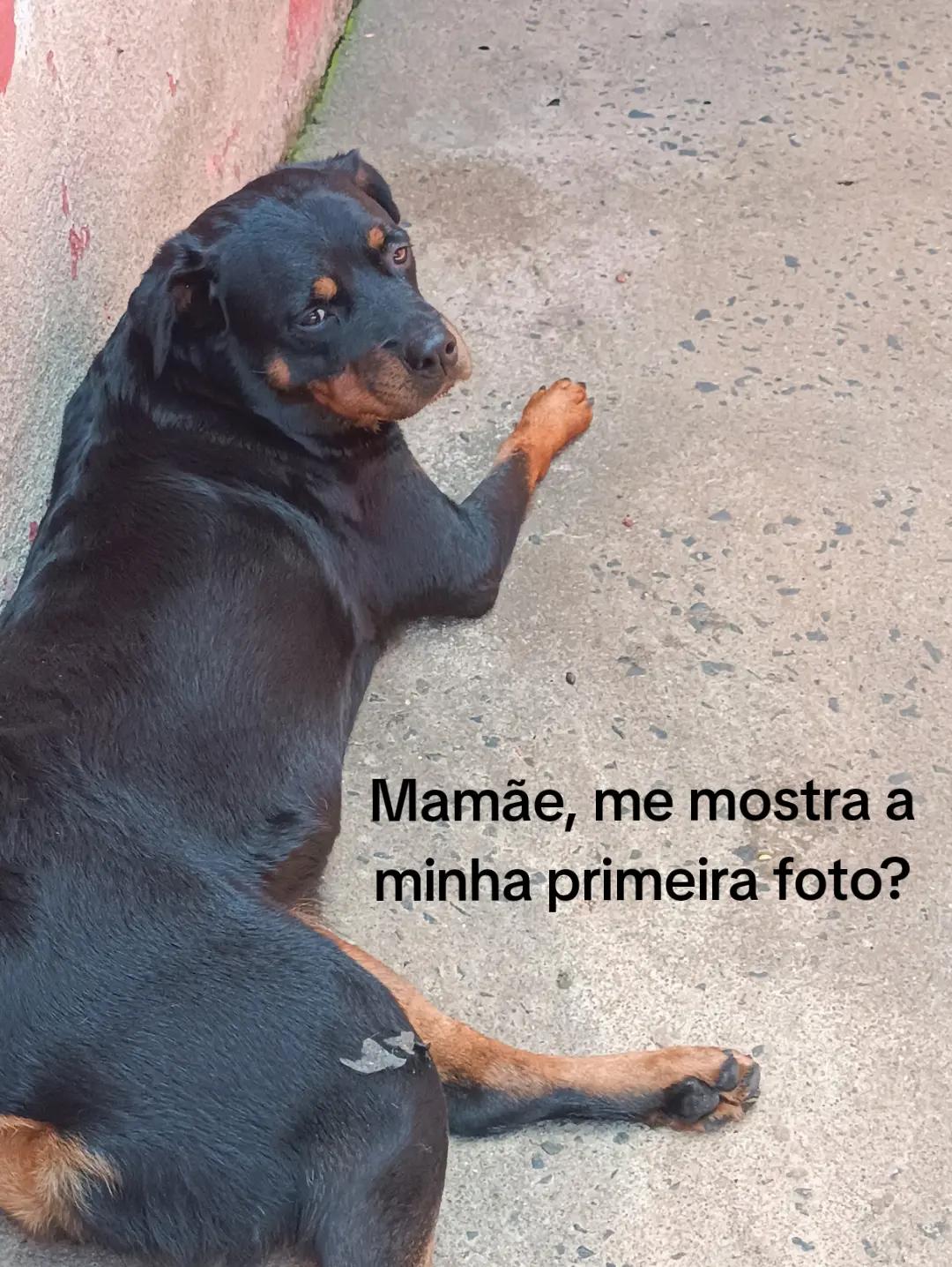 @Hosana Silva